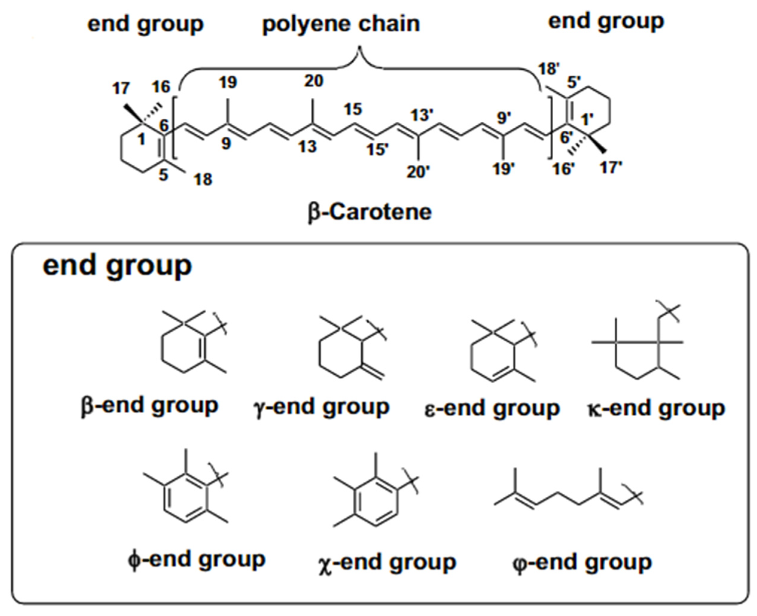 Plants 12 03235 g016 Plants 12 03235 g016