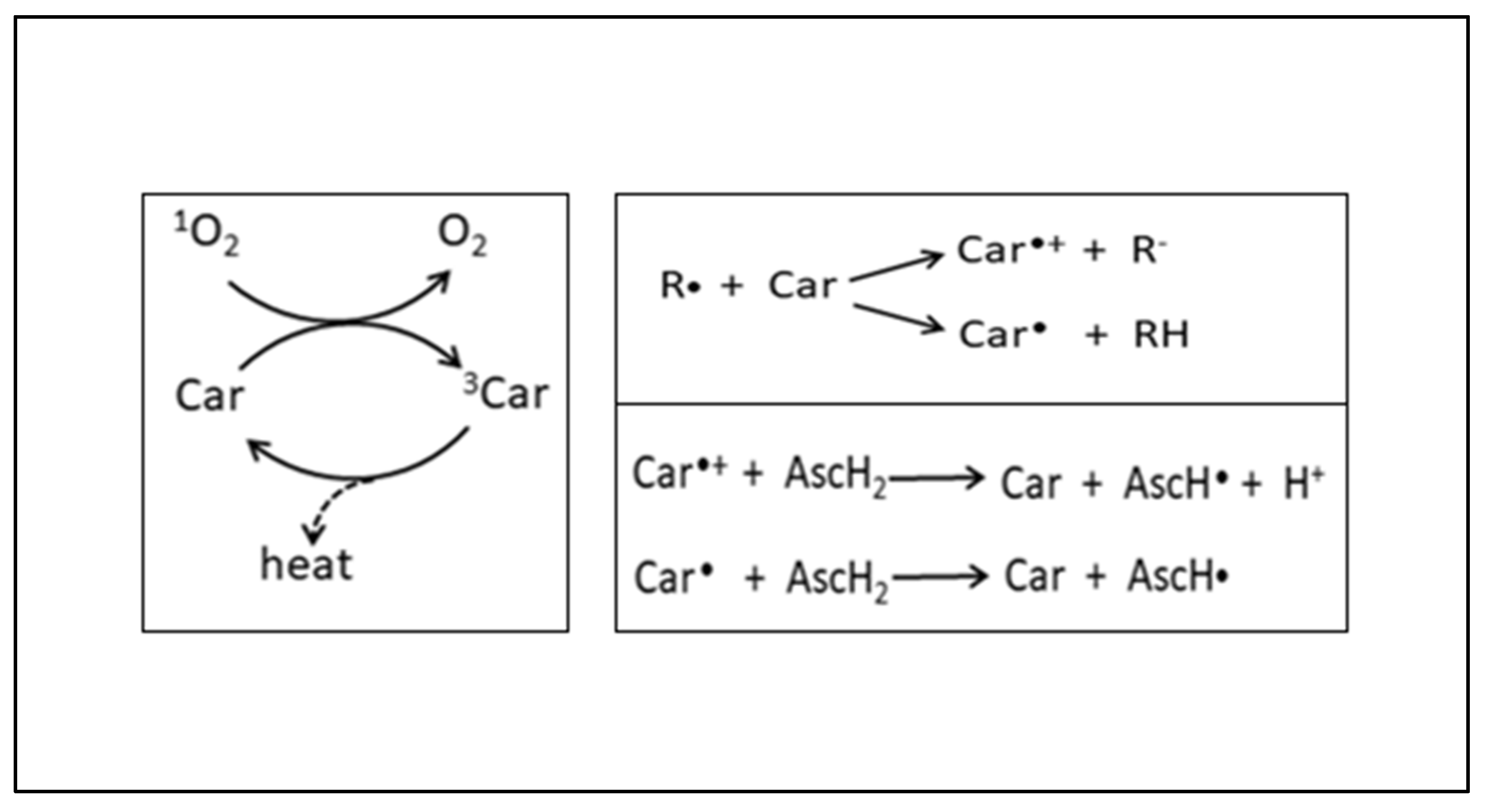 Plants 12 03235 g017 Plants 12 03235 g017