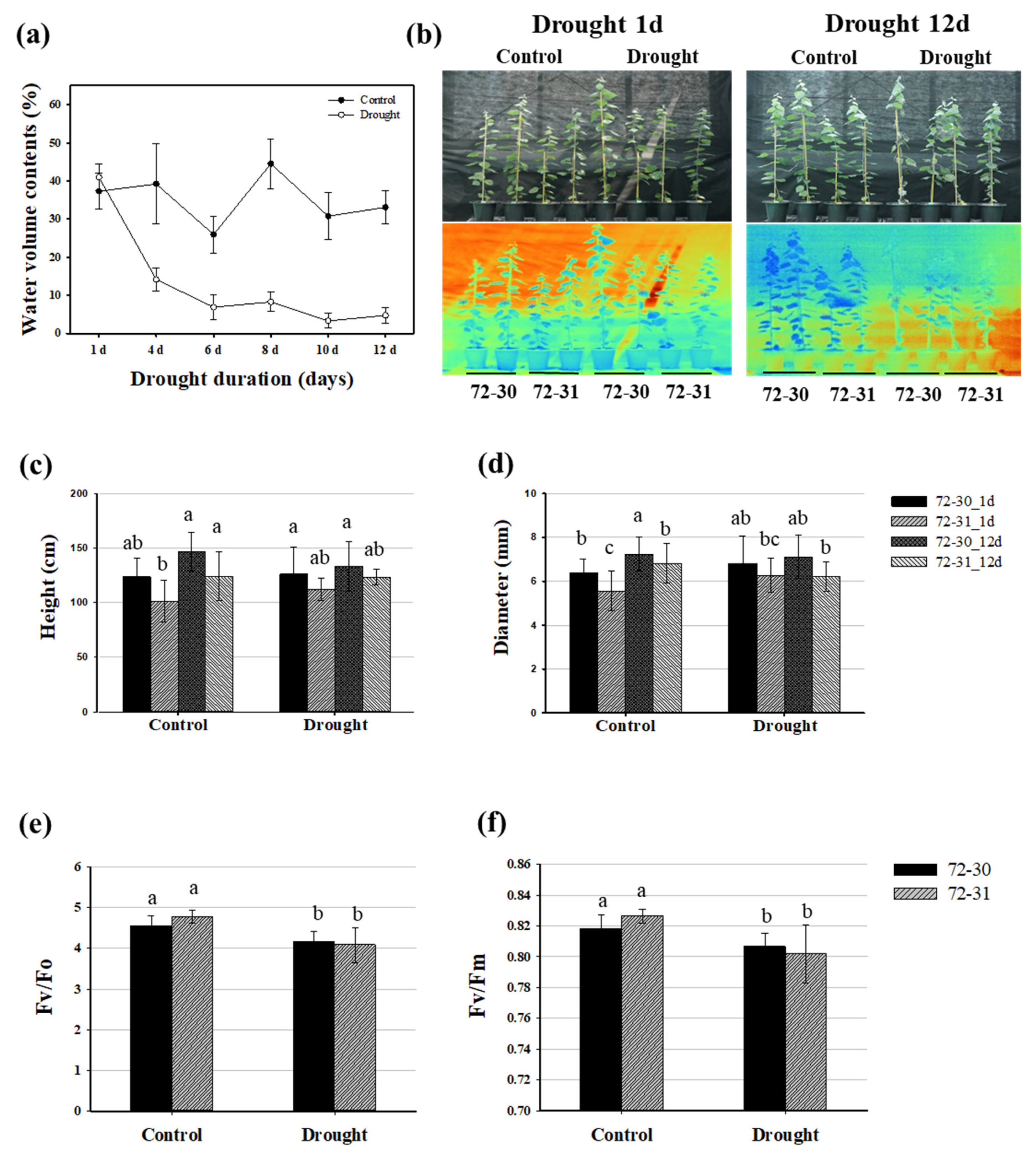 Plants 12 03238 g001