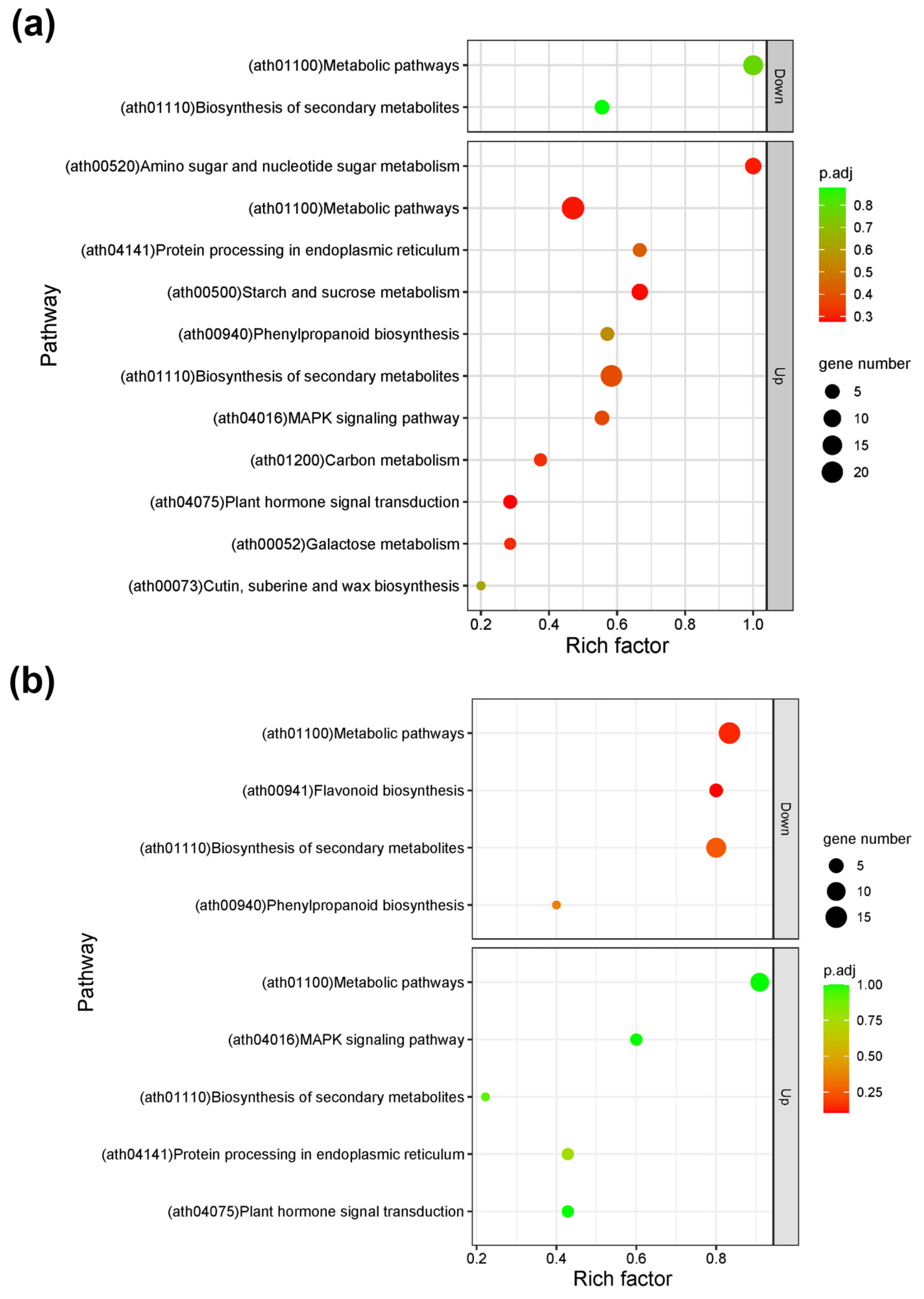 Plants 12 03238 g005