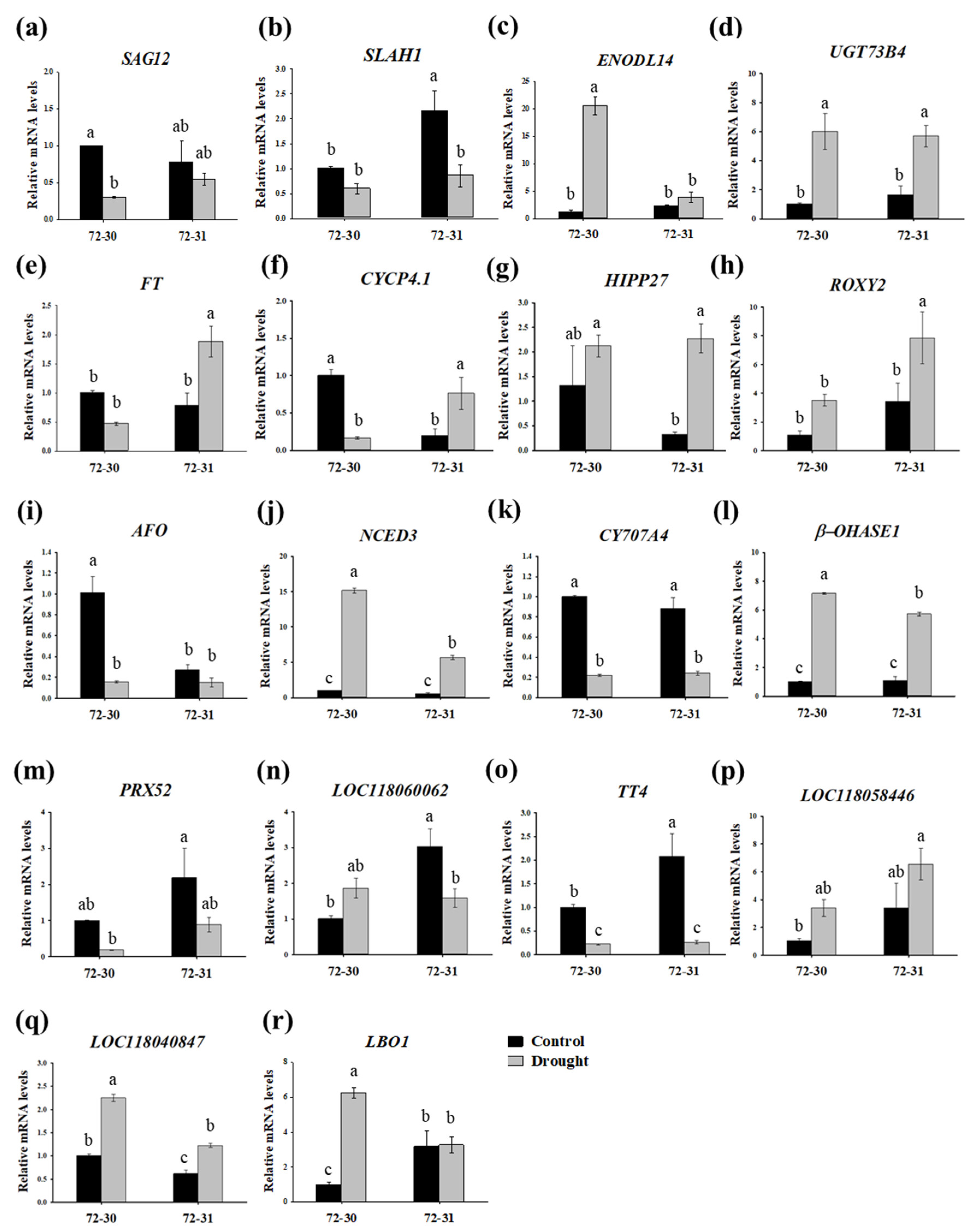 Plants 12 03238 g009