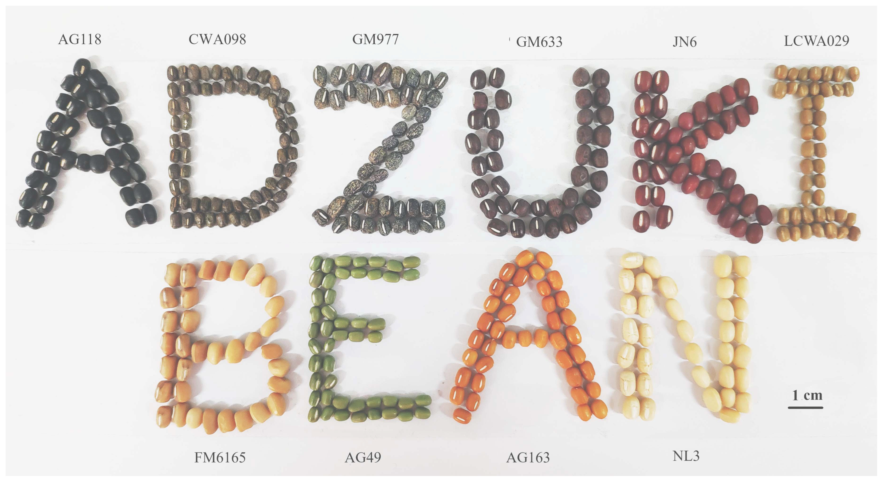 Plants 12 03242 g001