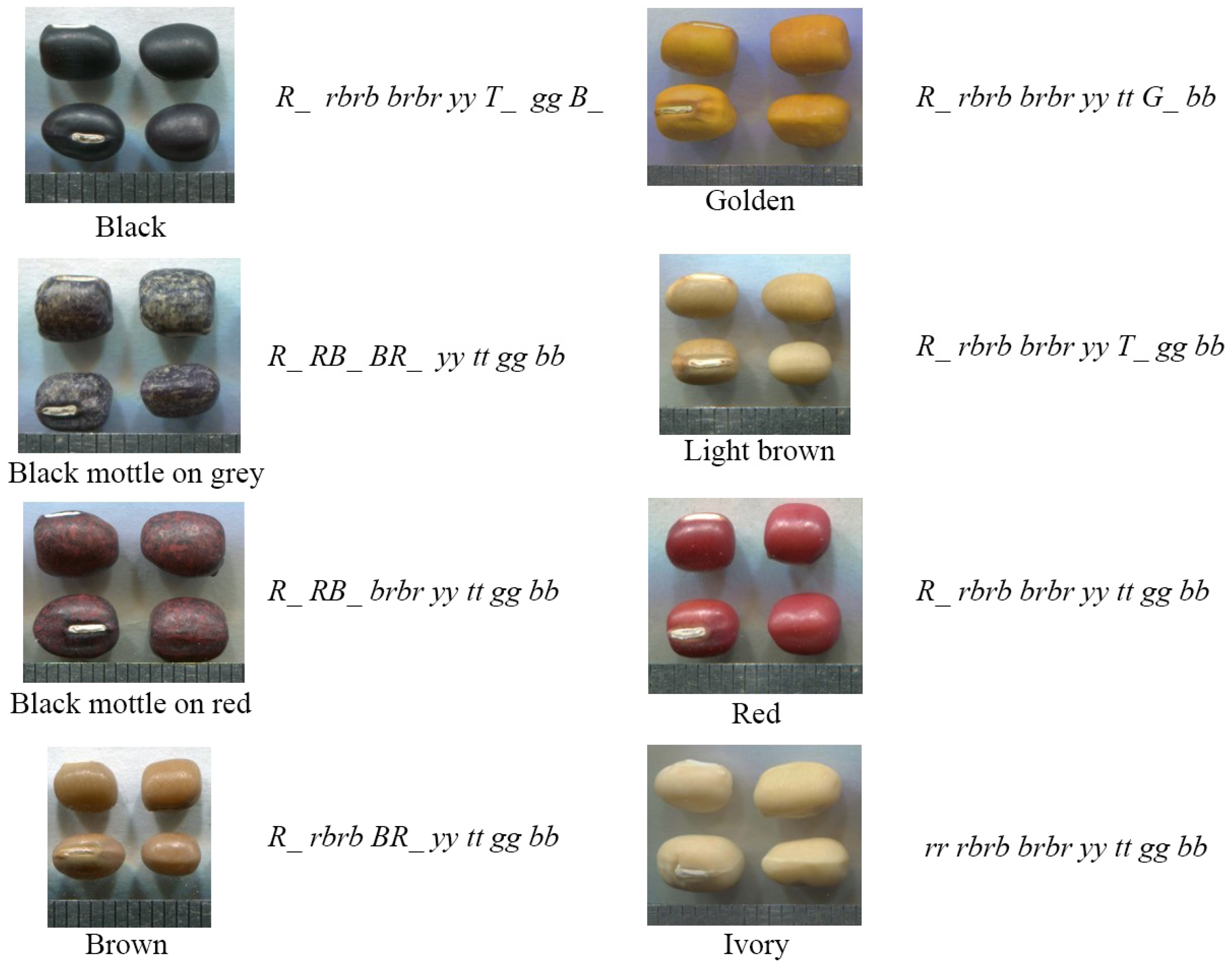 Plants 12 03242 g002