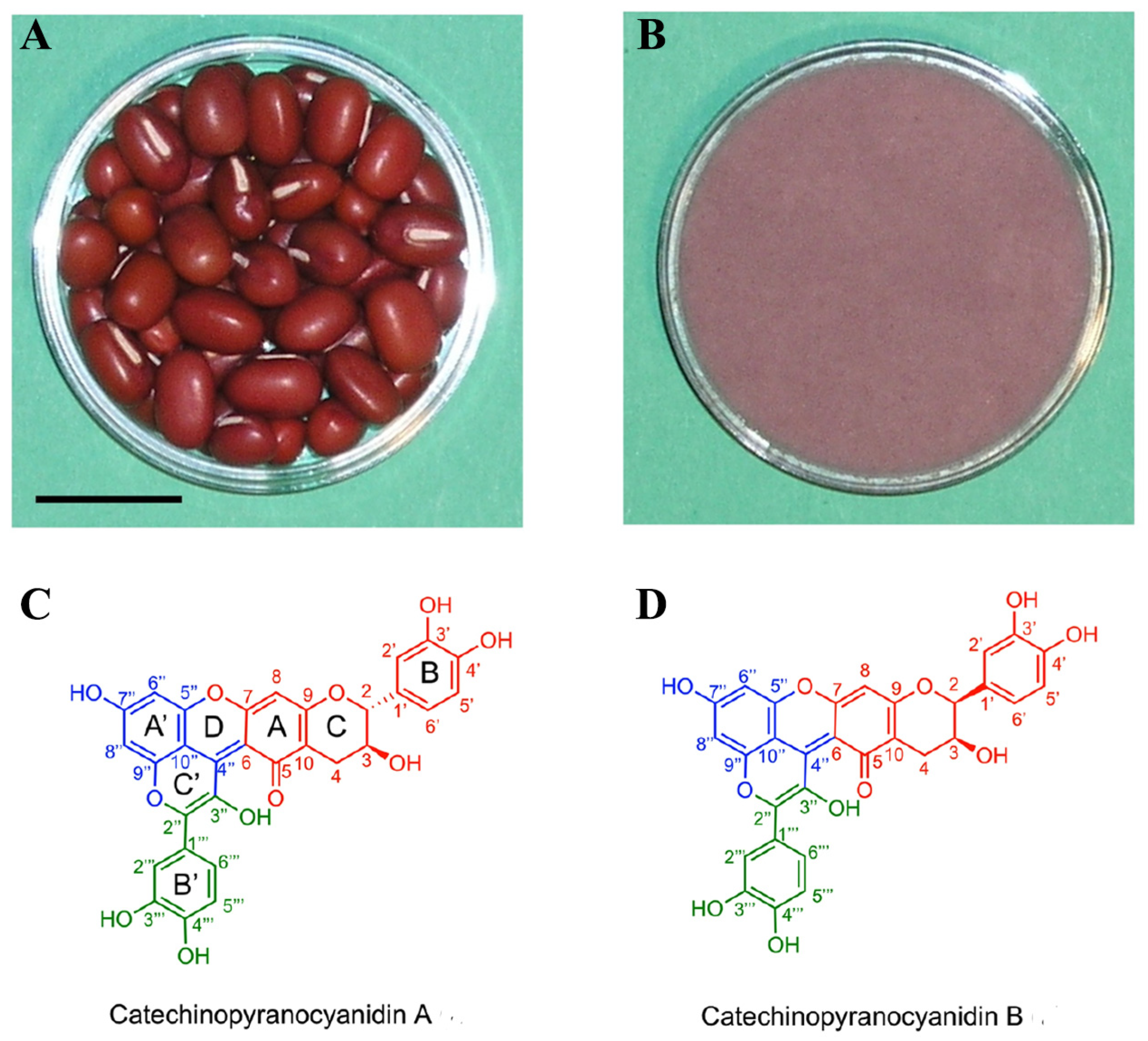 Plants 12 03242 g003