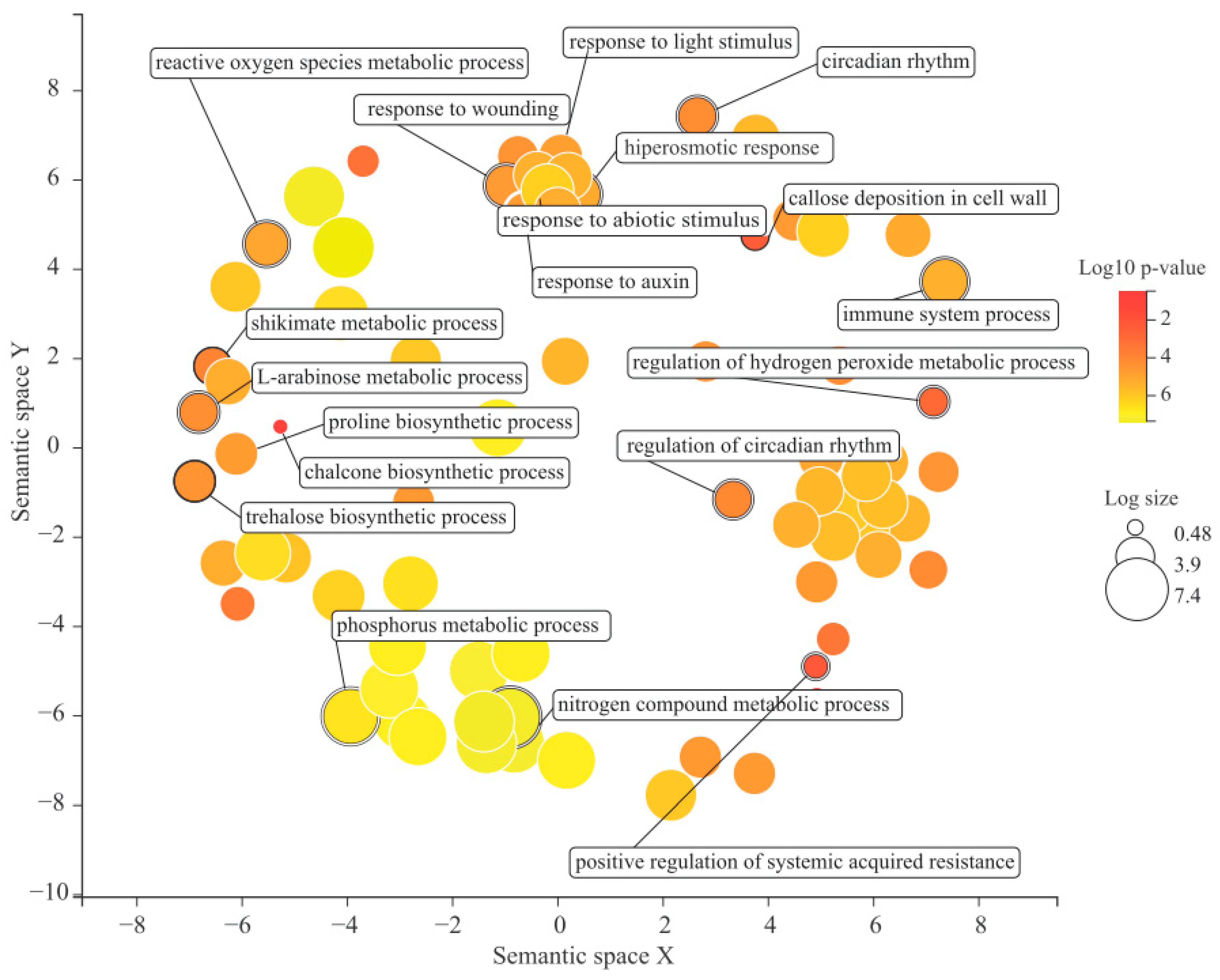 Plants 12 03246 g005
