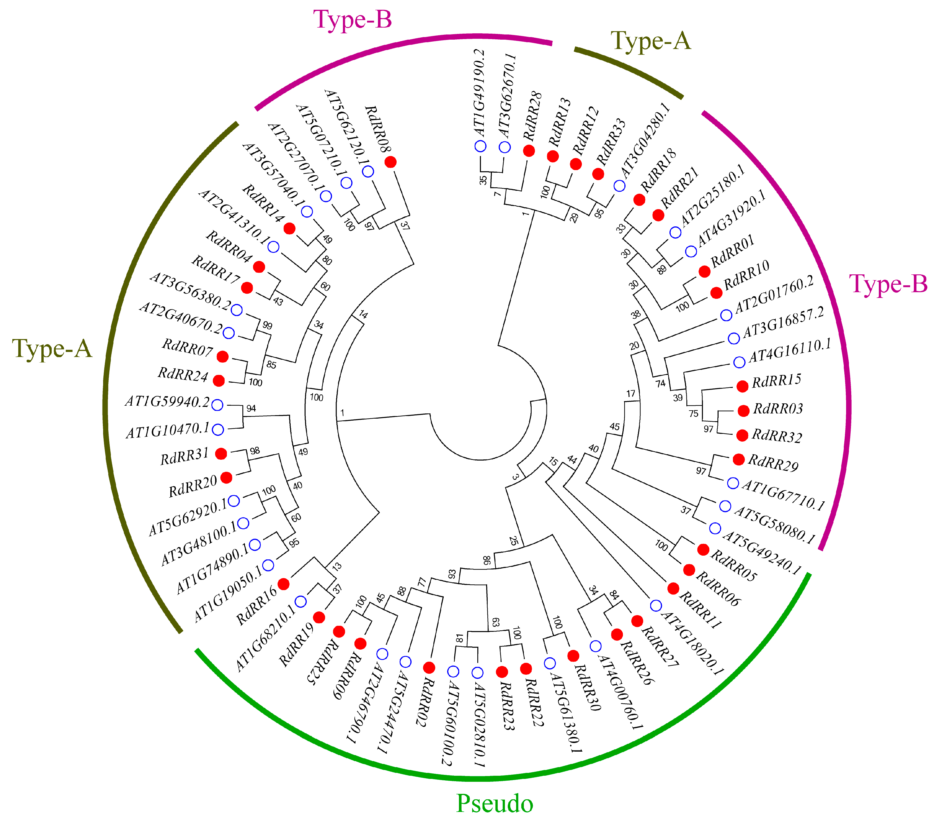 Plants 12 03250 g001