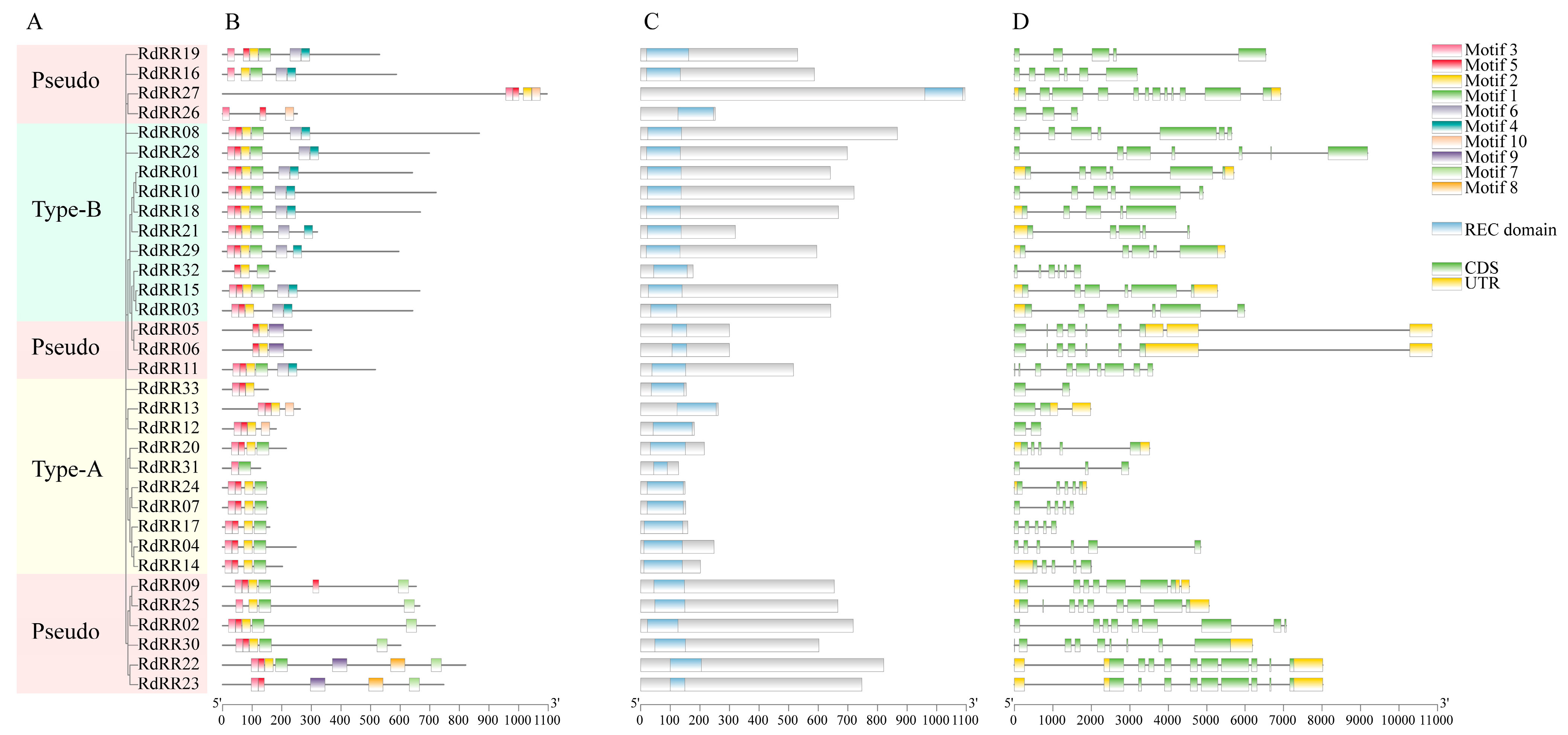 Plants 12 03250 g002