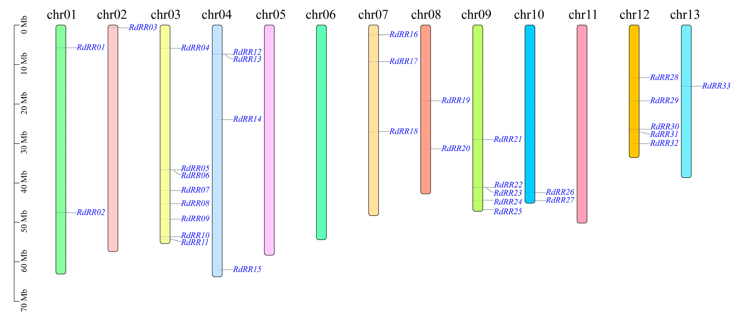 Plants 12 03250 g004