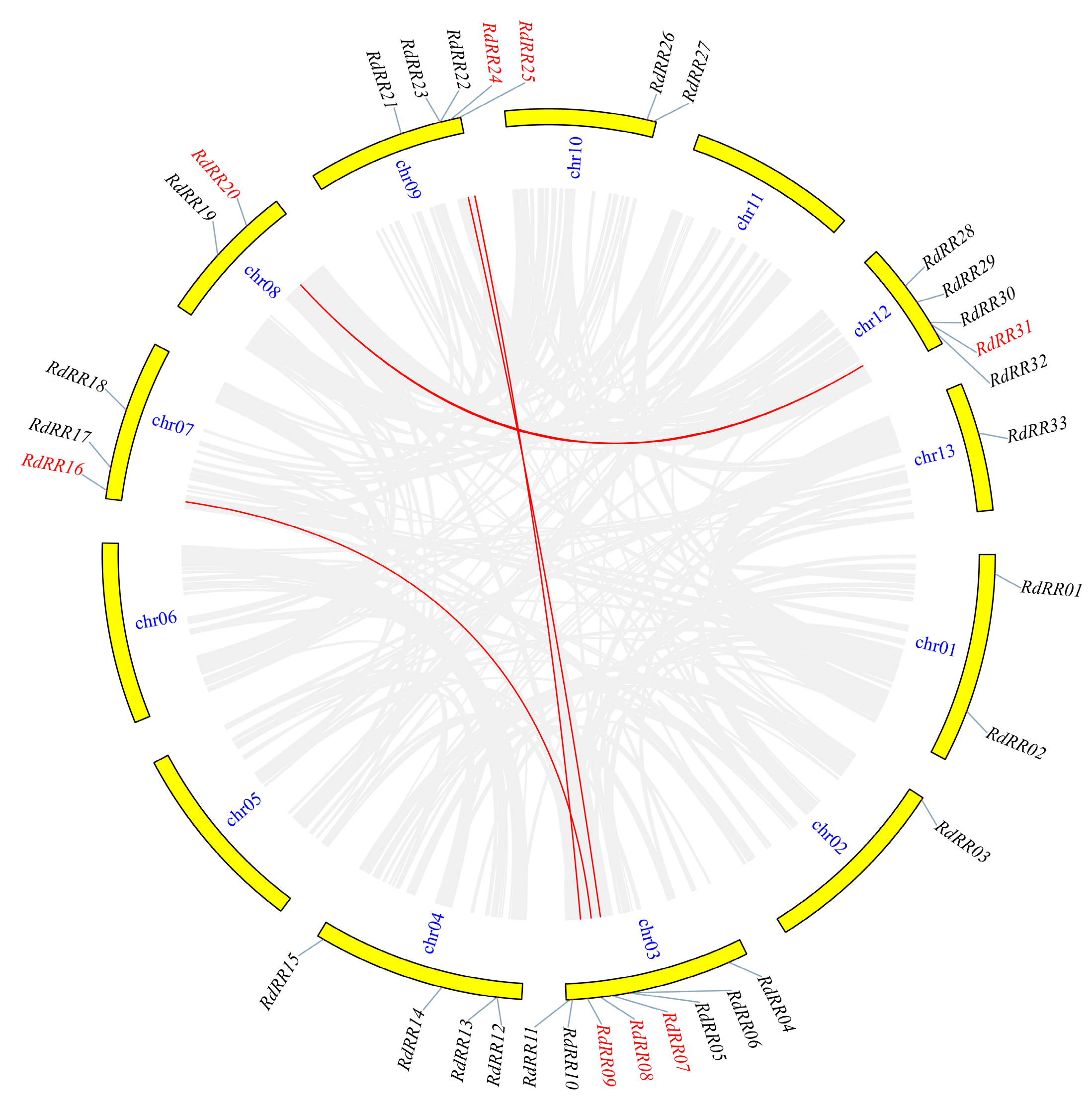 Plants 12 03250 g005