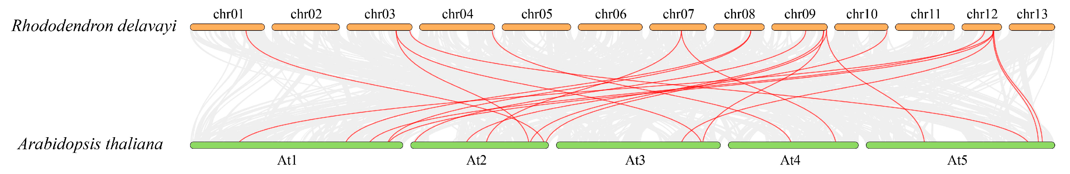 Plants 12 03250 g006