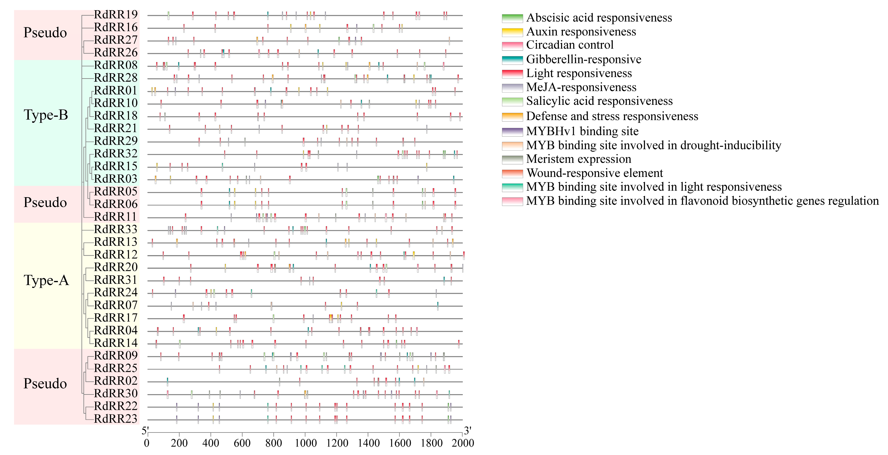 Plants 12 03250 g007