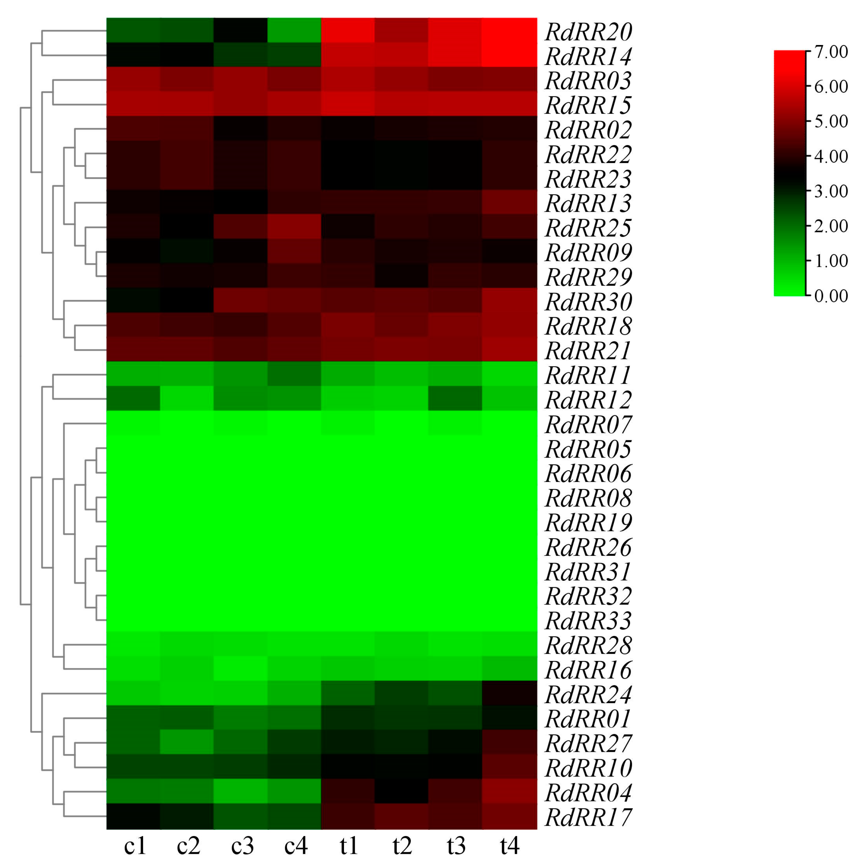 Plants 12 03250 g008