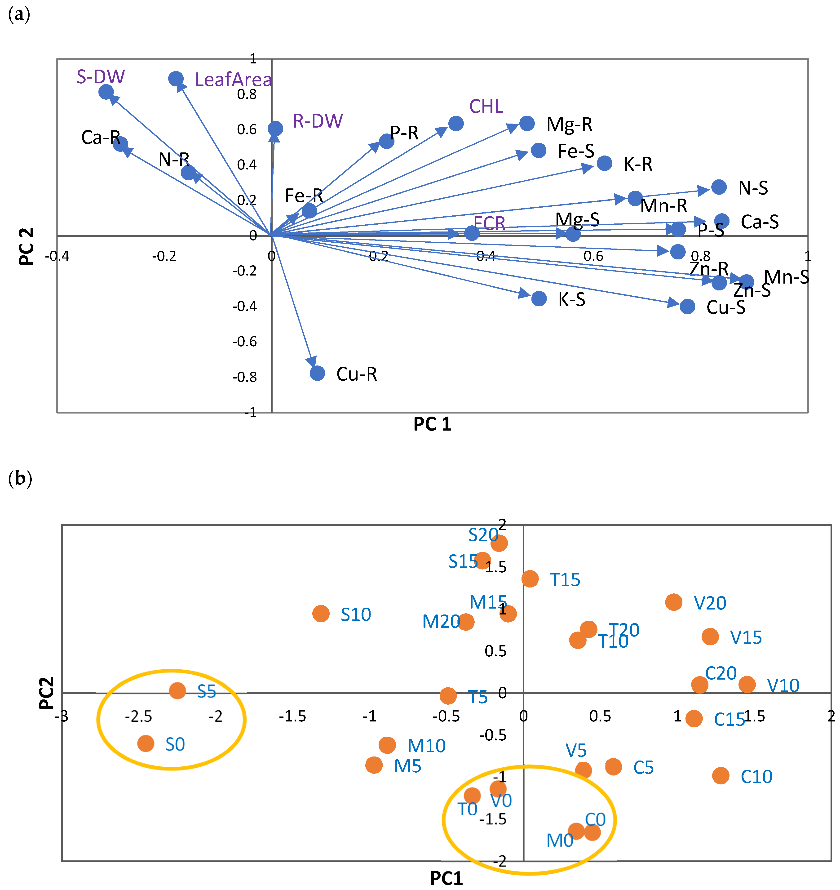 Plants 12 03252 g001