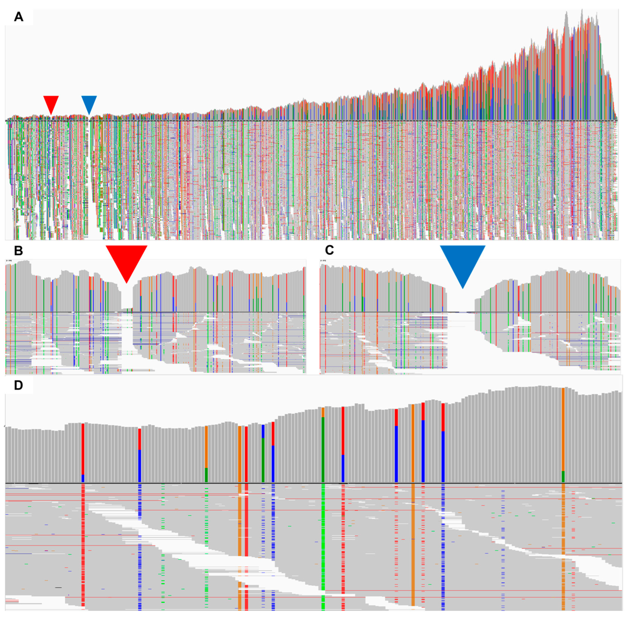 Plants 12 03257 g008