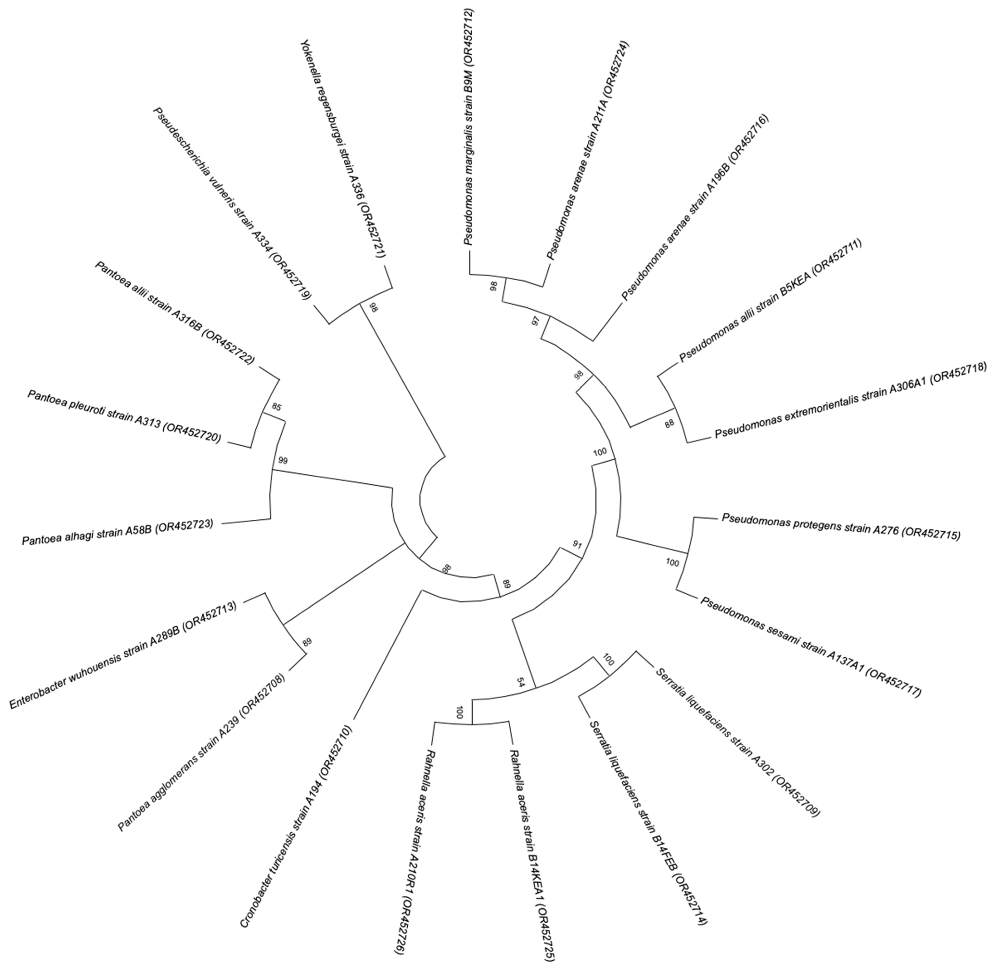 Plants 12 03262 g005