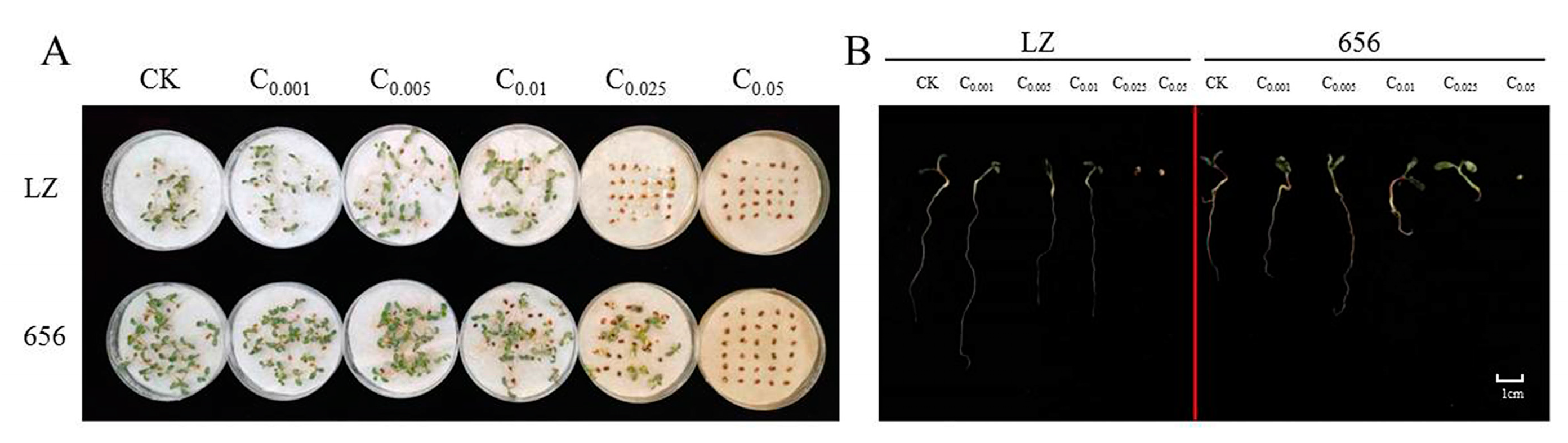 Plants 12 03263 g009
