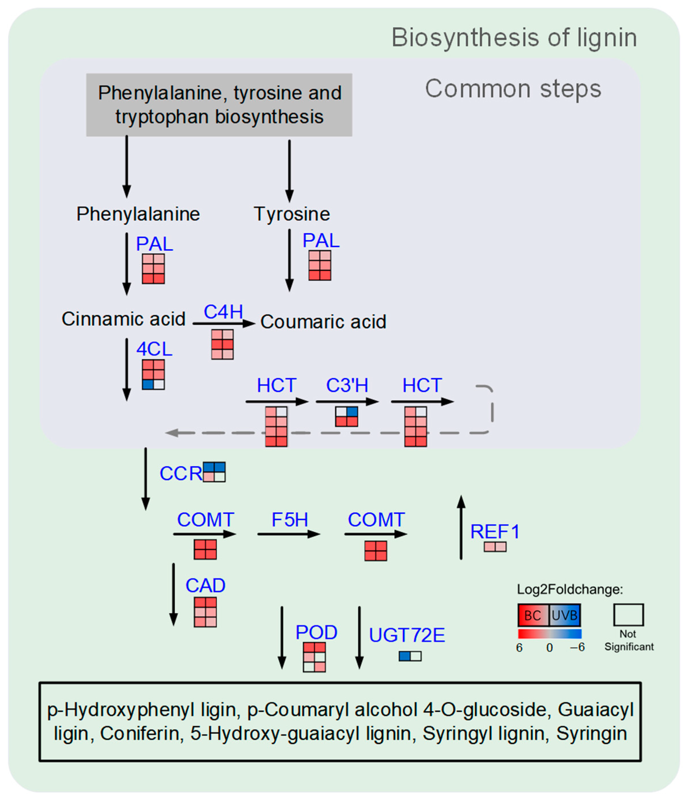 Plants 12 03265 g004