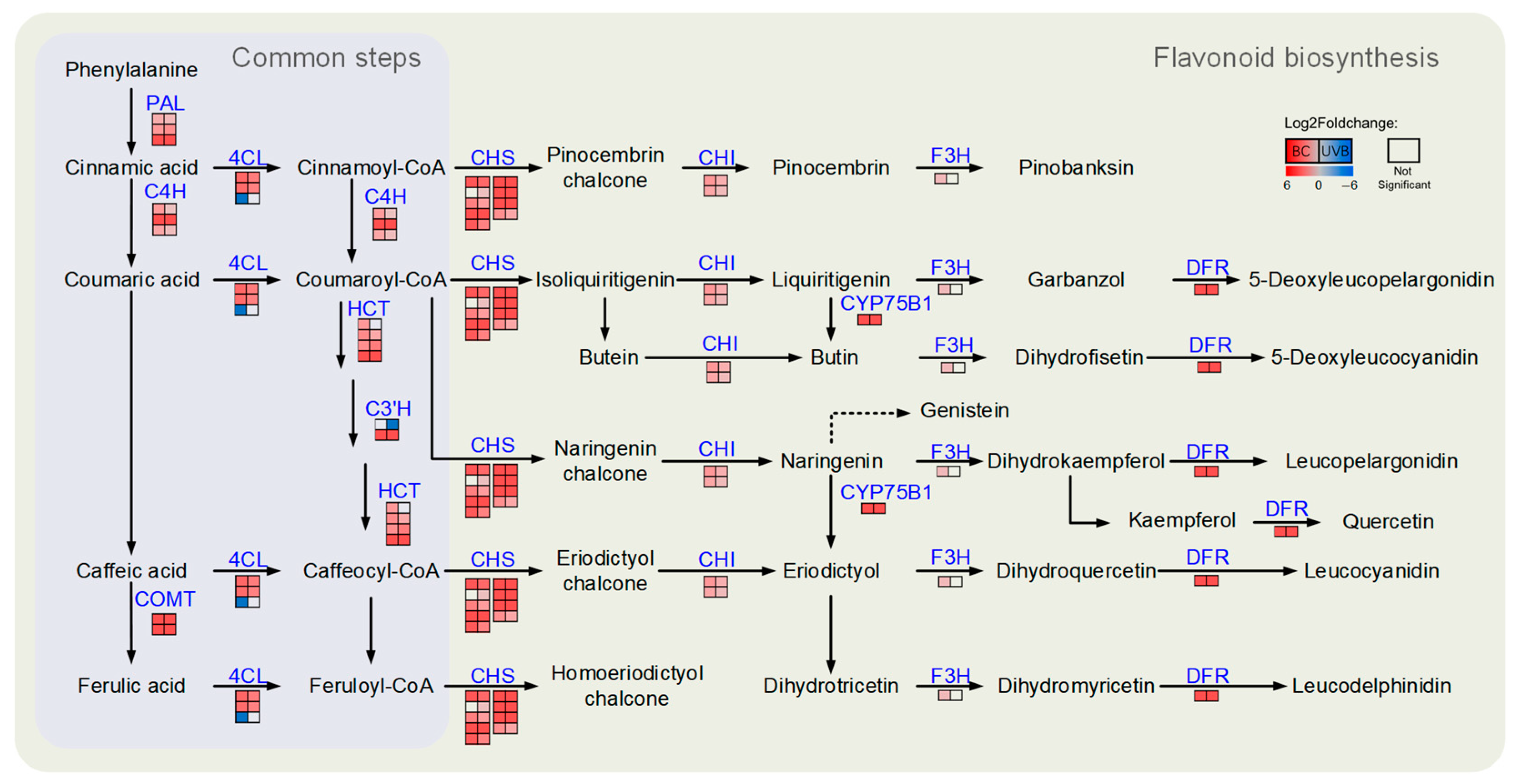 Plants 12 03265 g006
