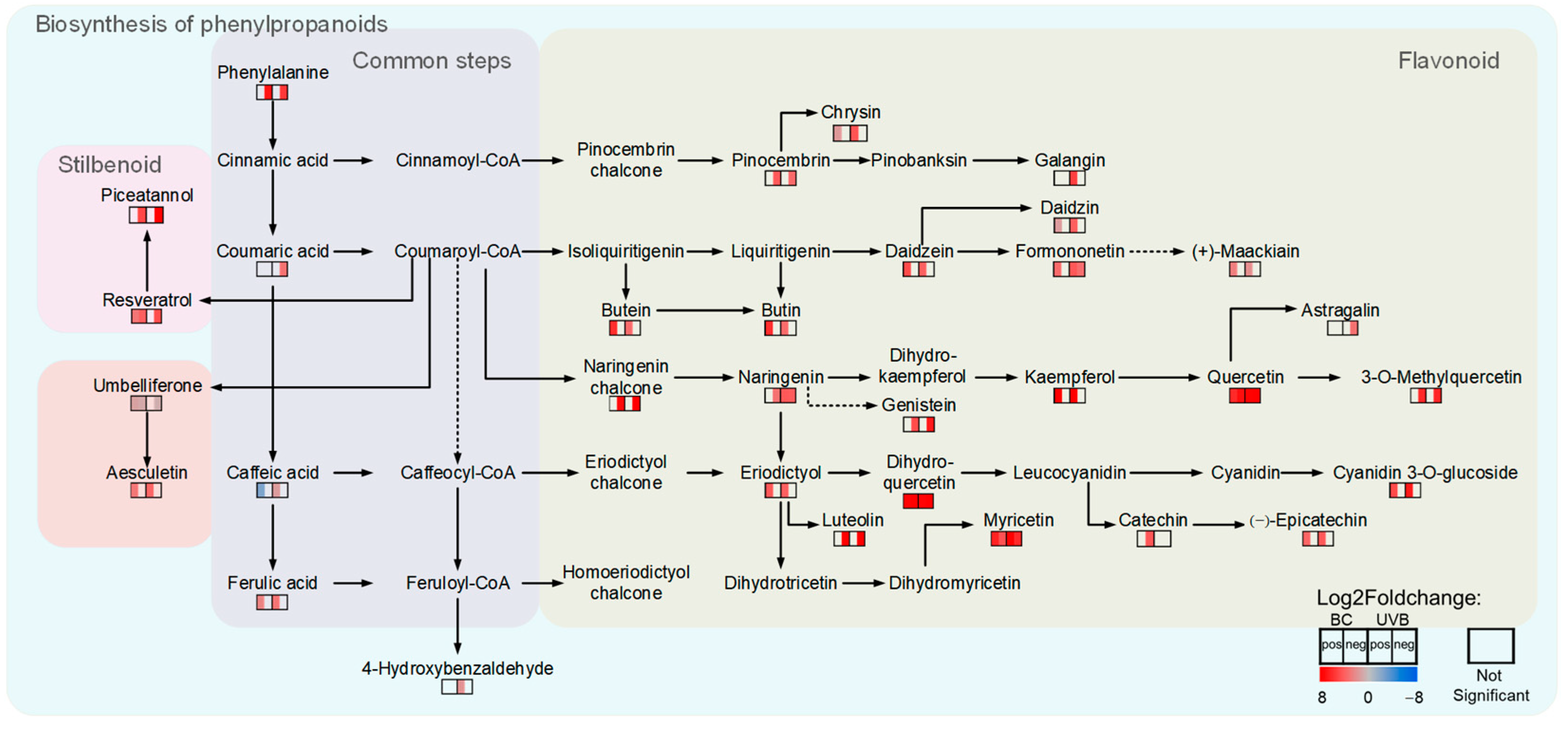 Plants 12 03265 g007