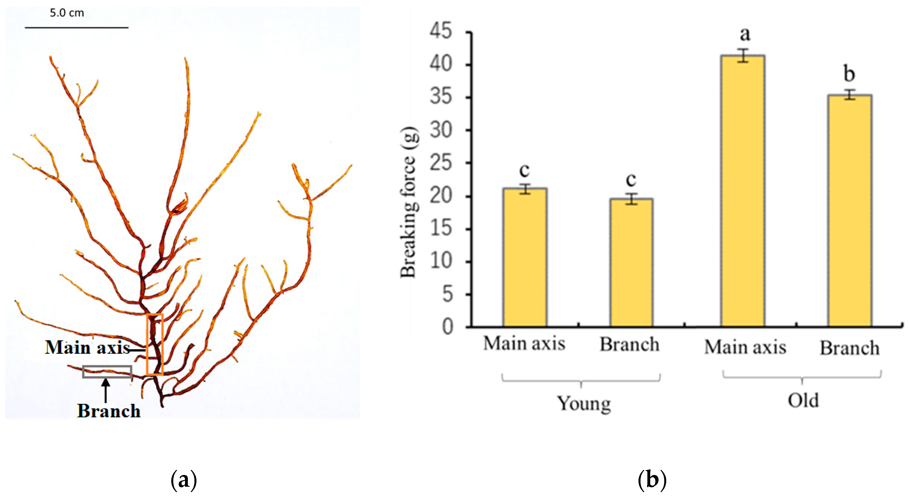 Plants 12 03274 g001