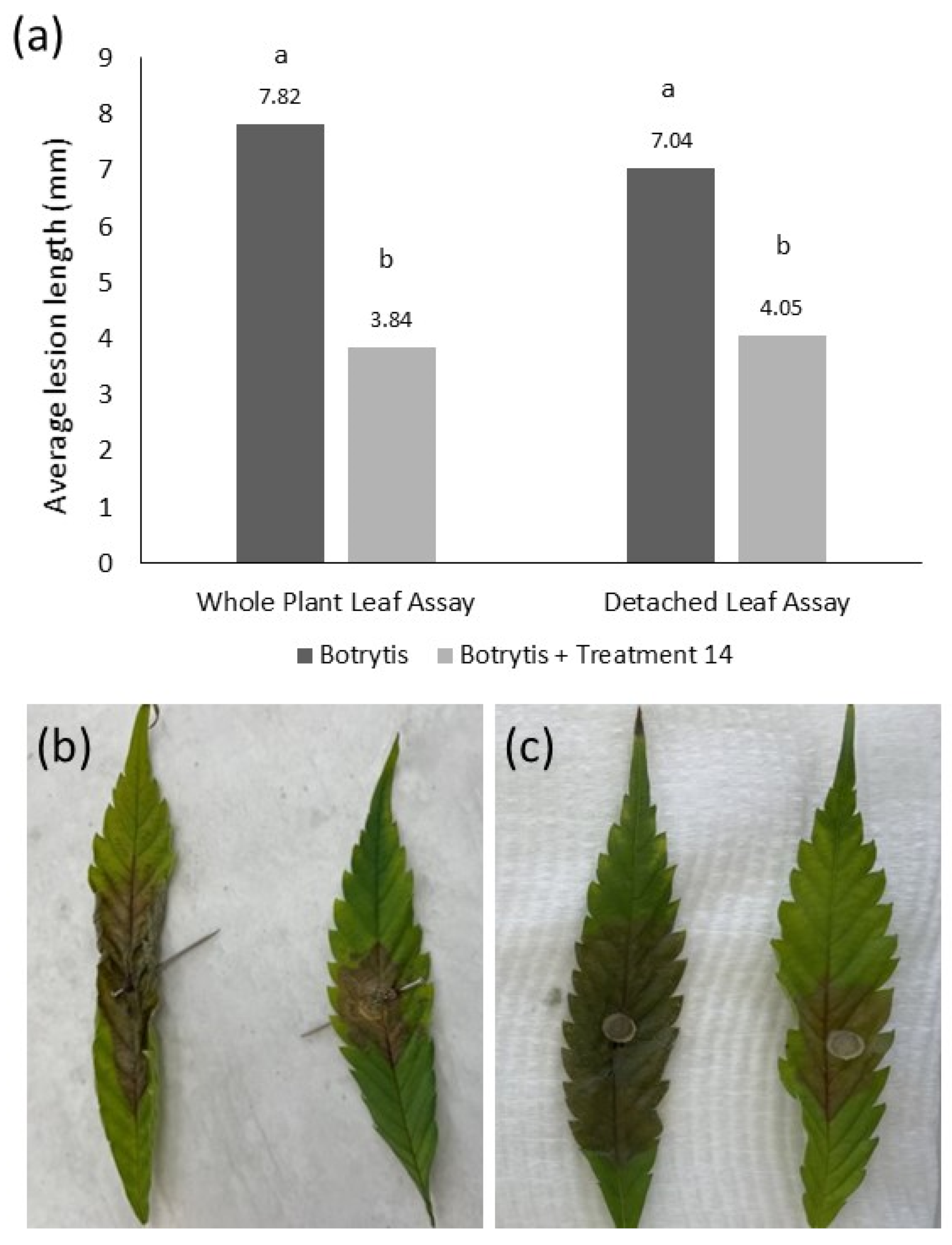 Plants 12 03278 g004
