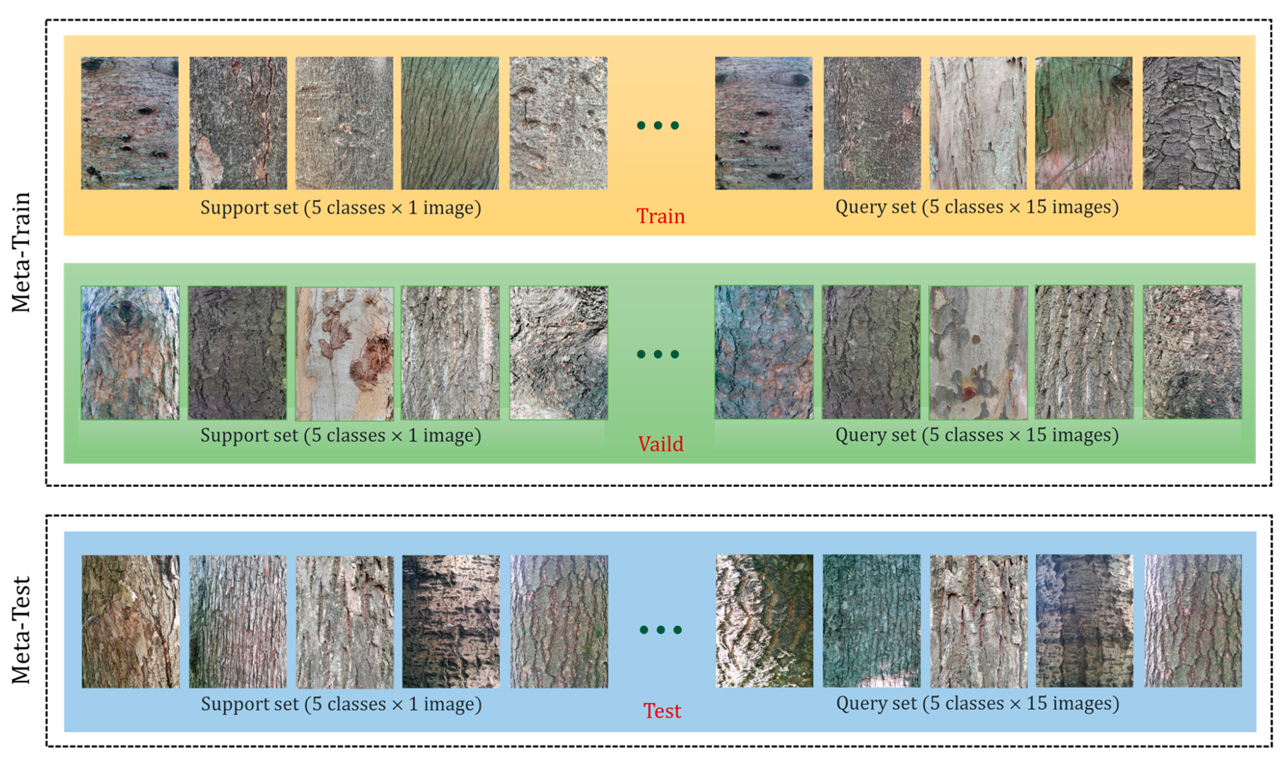 Plants 12 03280 g001