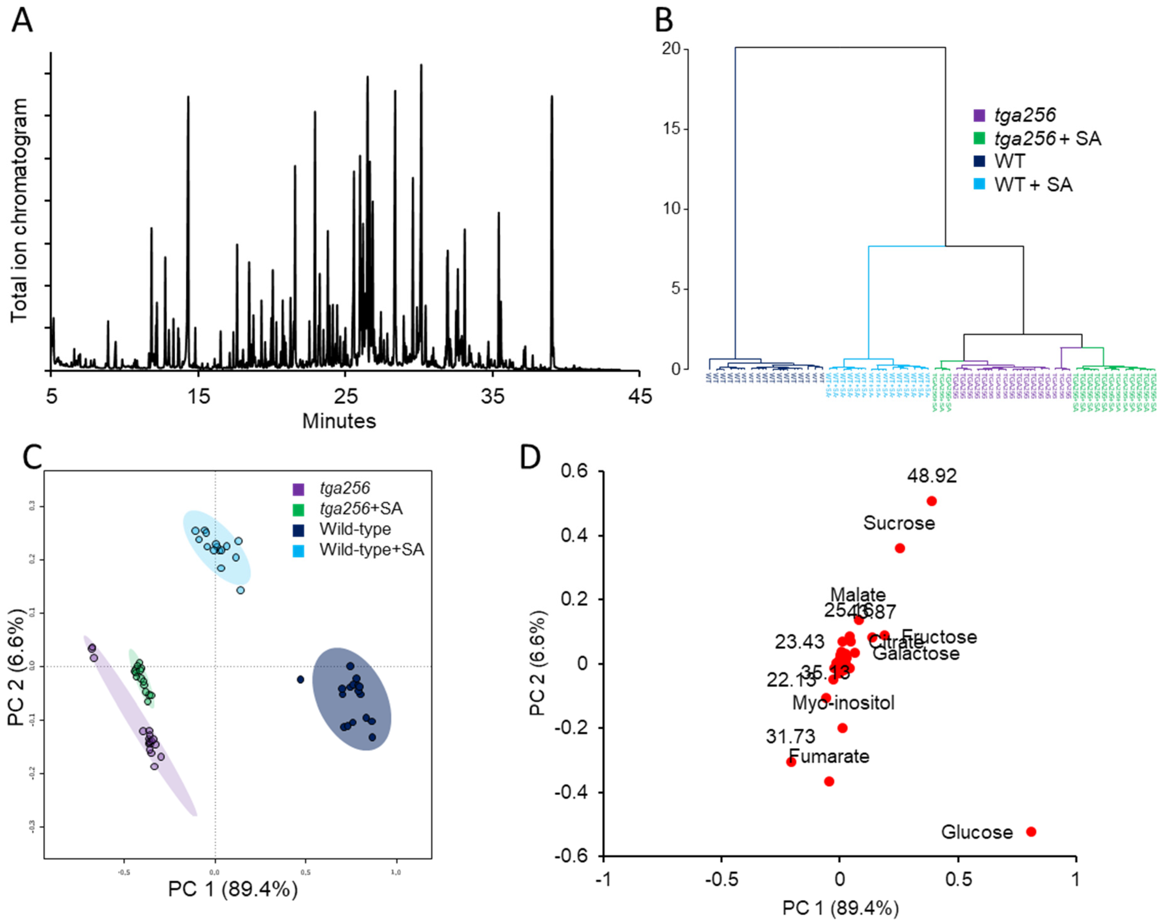 Plants 12 03284 g002