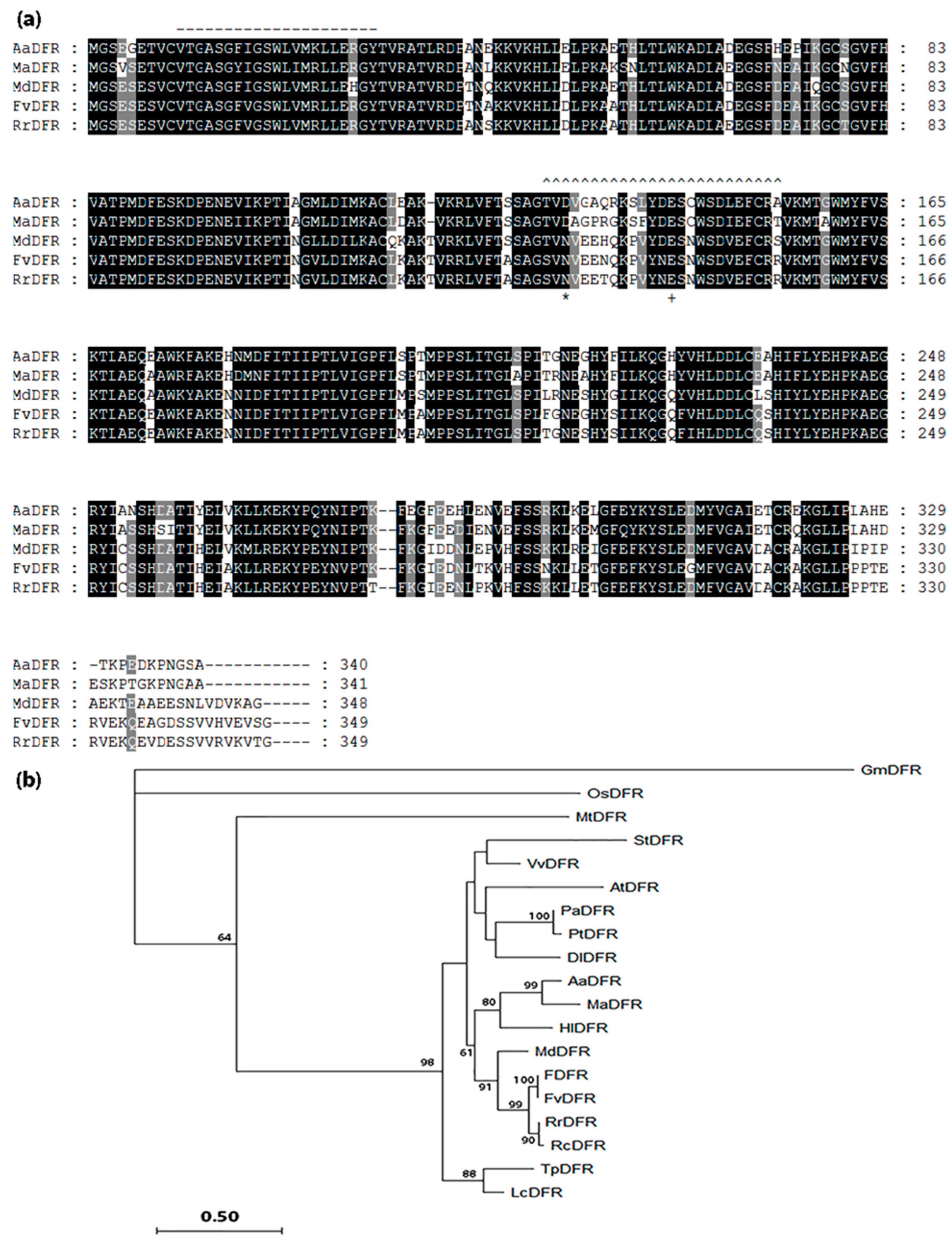Plants 12 03285 g005