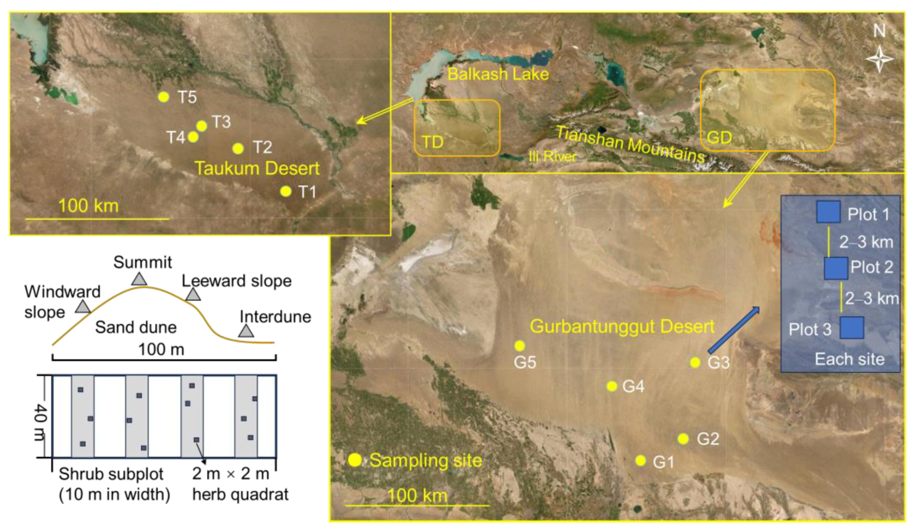 Plants 12 03286 g008