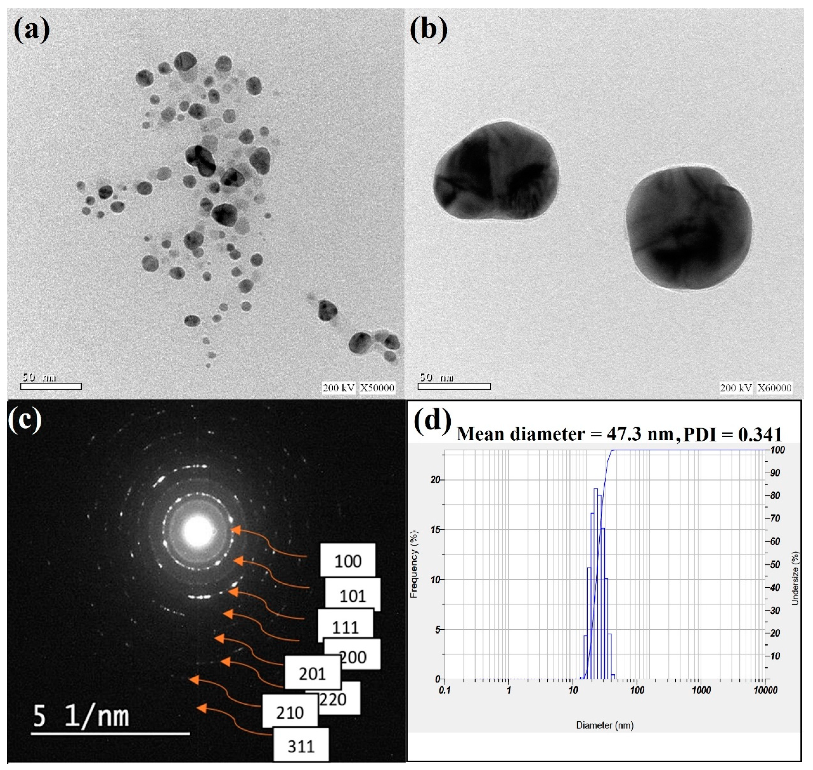 Plants 12 03288 g002
