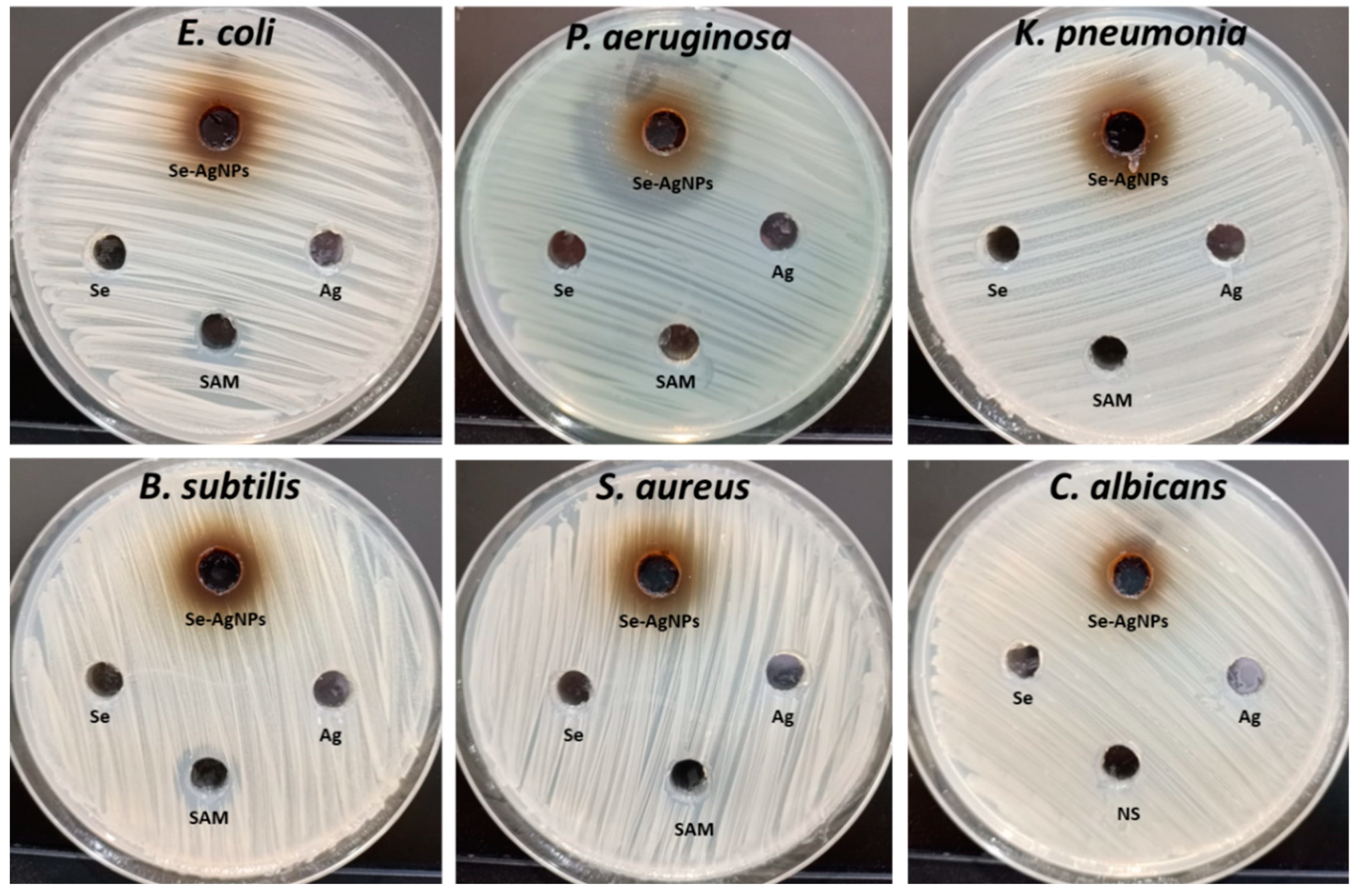 Plants 12 03288 g006