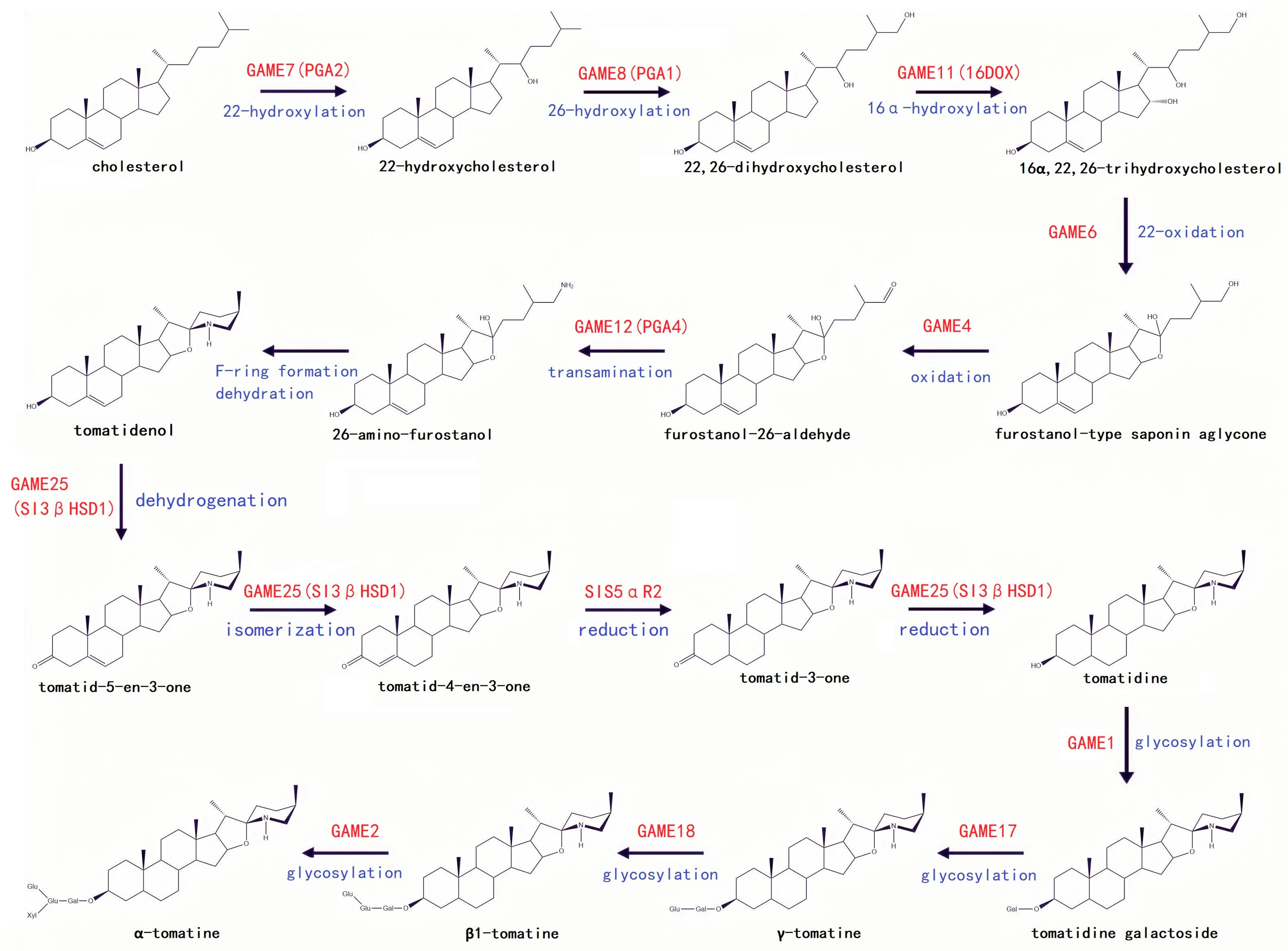 Plants 12 03289 g002