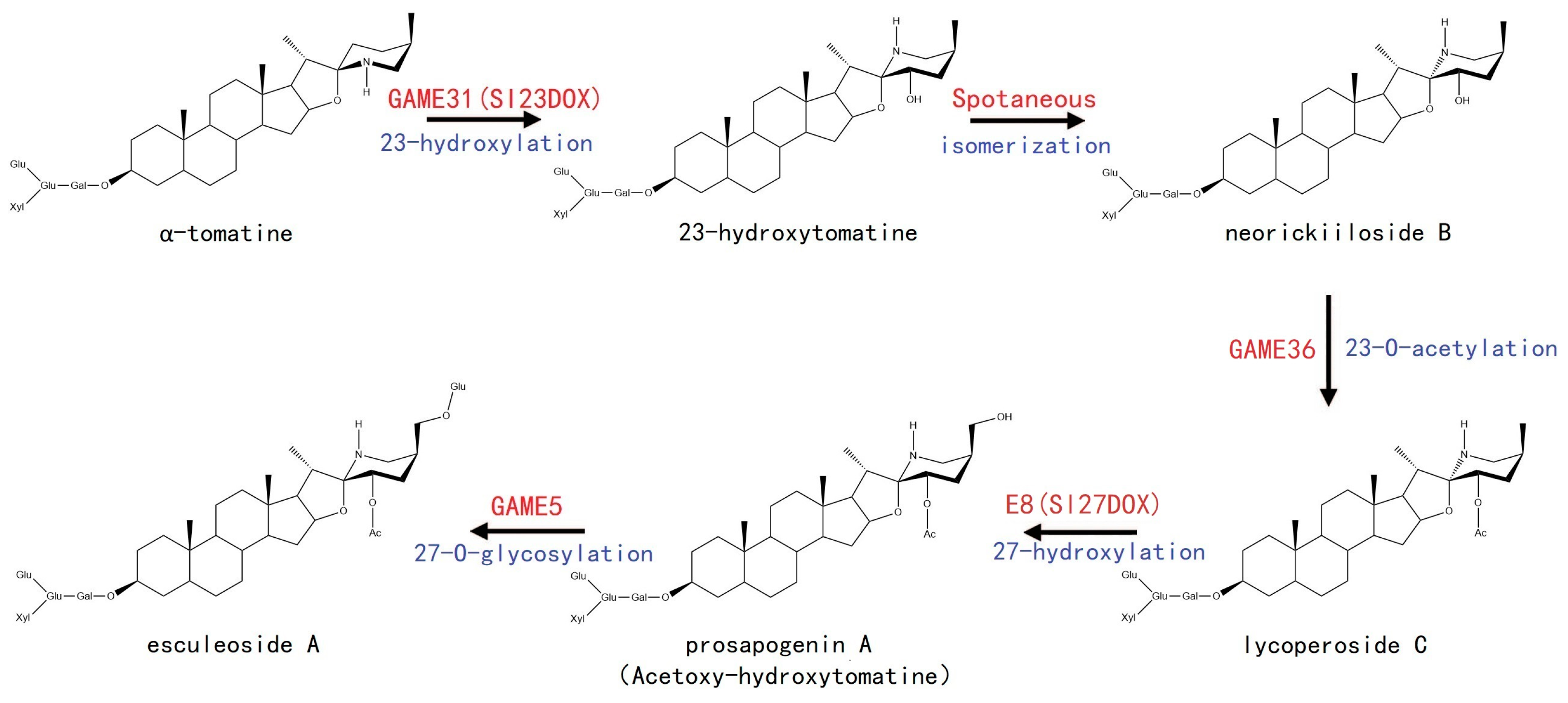 Plants 12 03289 g003