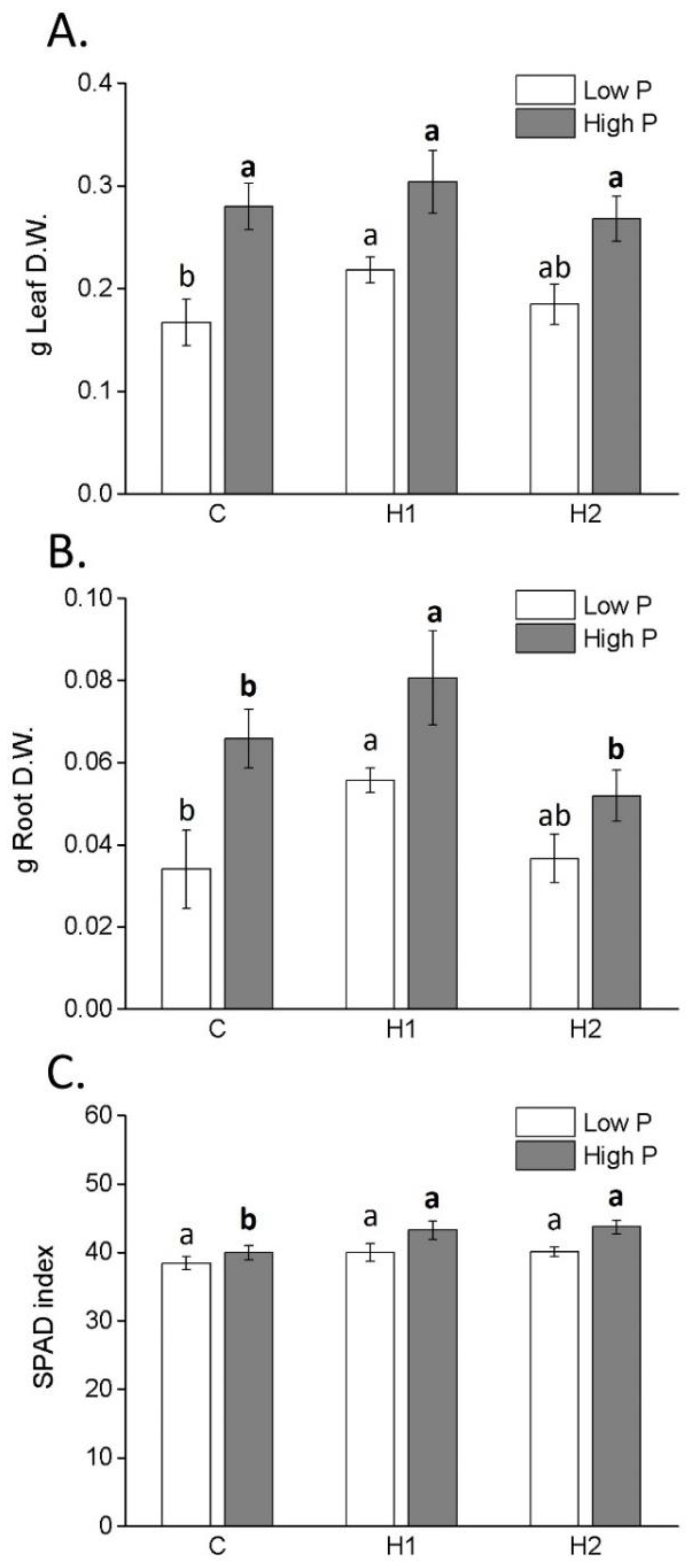 Plants 12 03291 g003