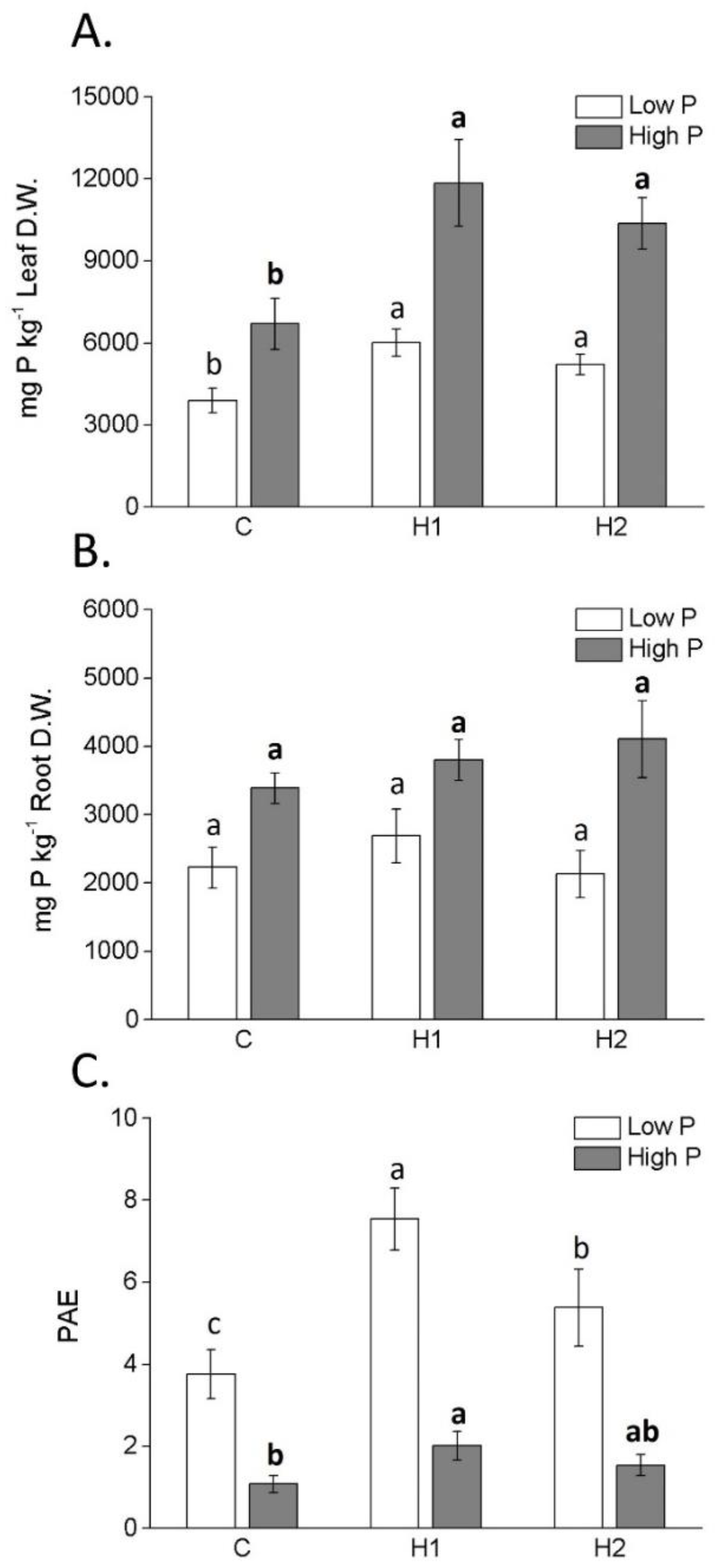 Plants 12 03291 g004