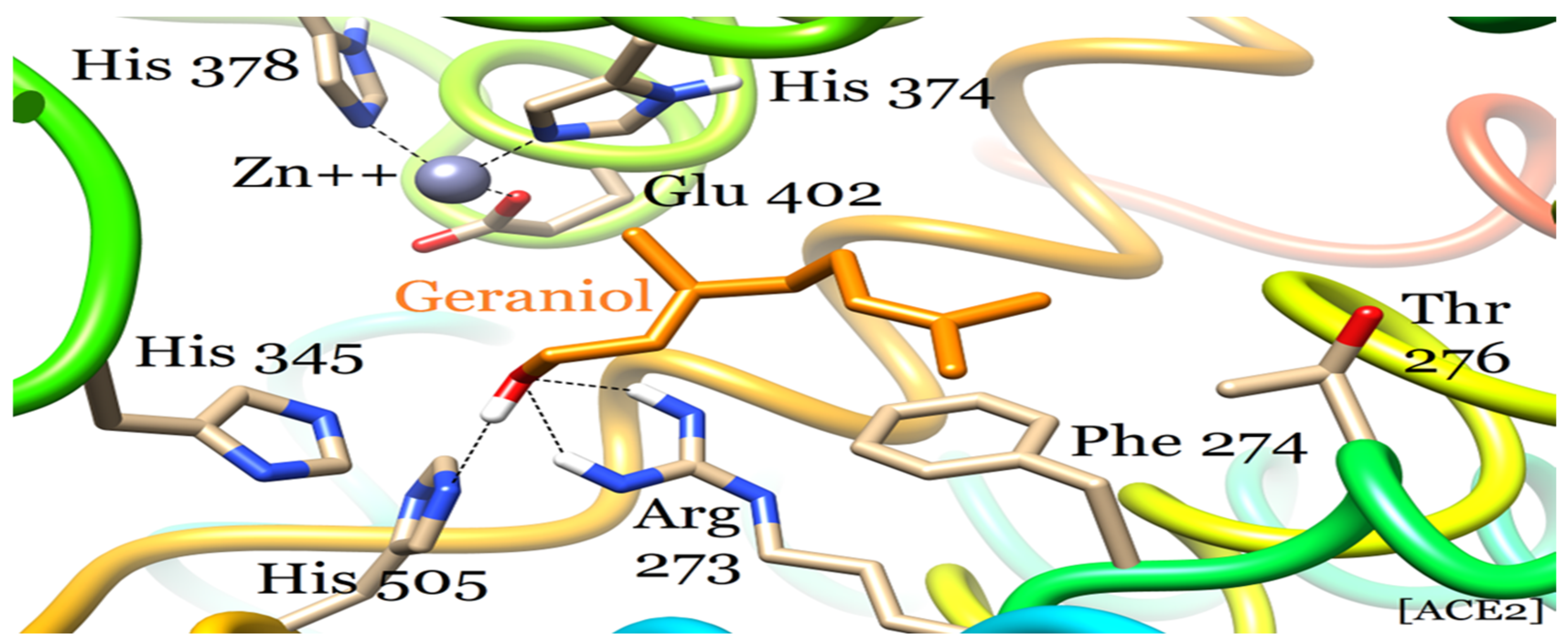 Plants 12 03296 g004