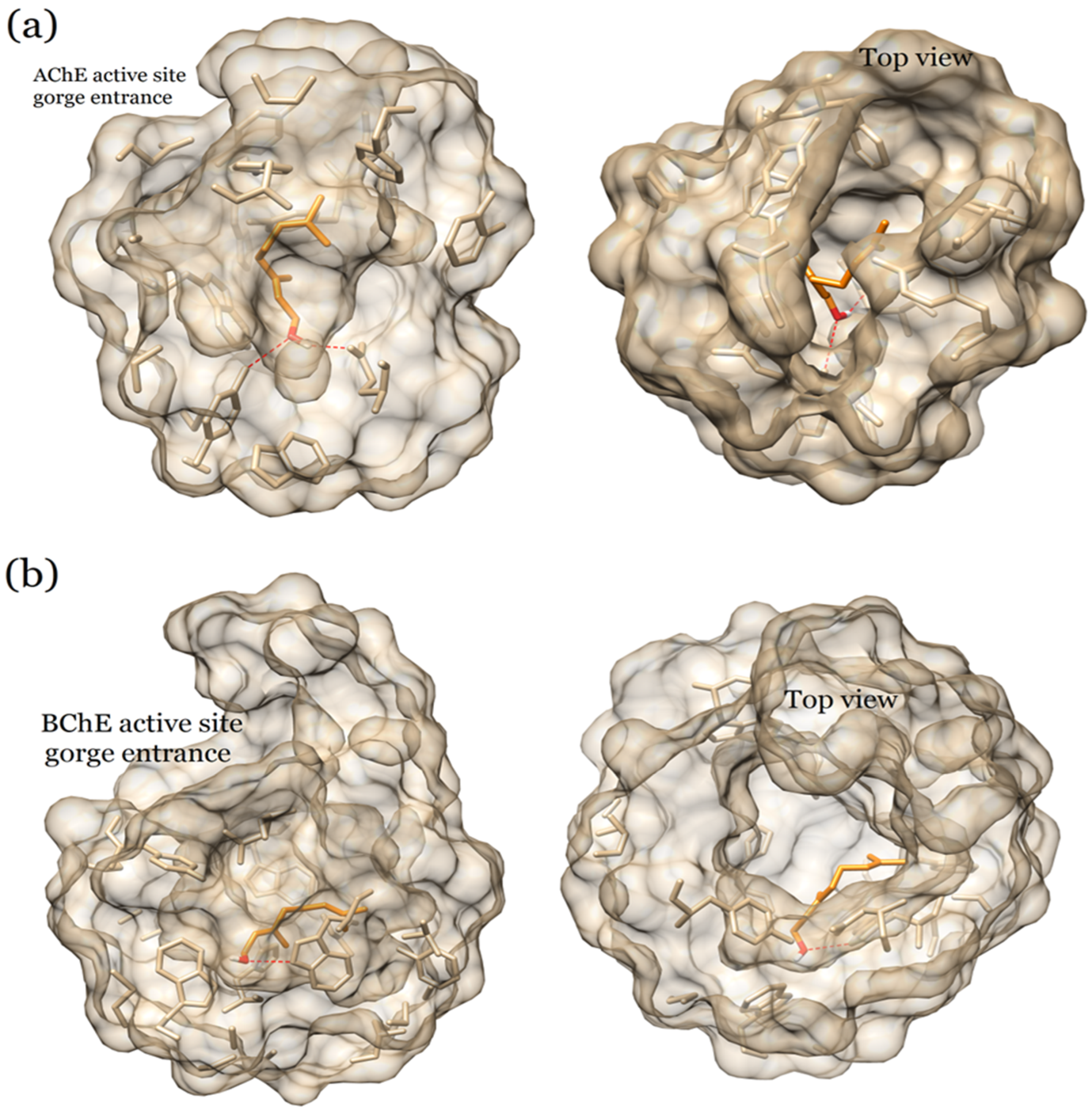 Plants 12 03296 g005