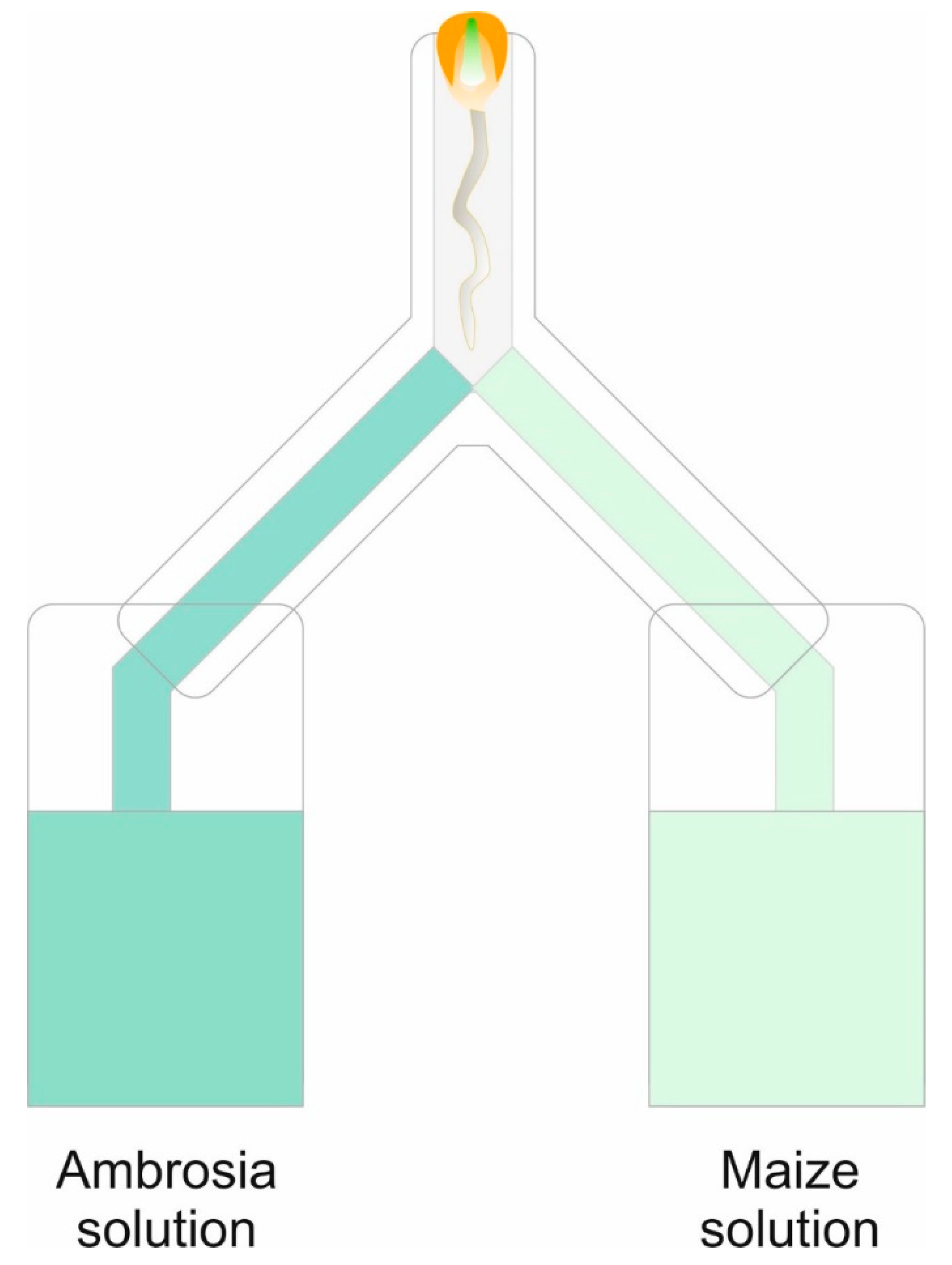 Plants 12 03298 g009