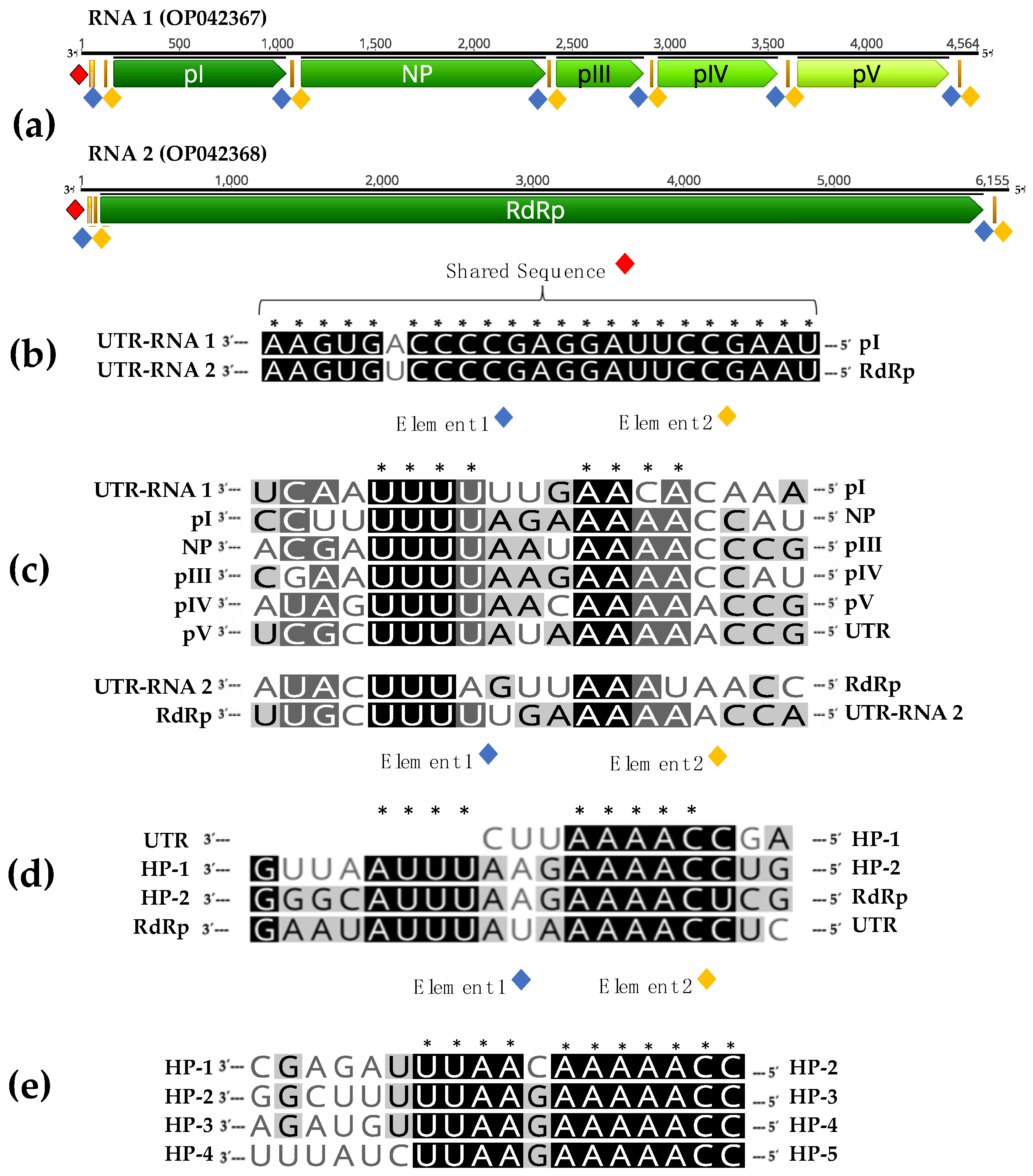 Plants 12 03300 g002