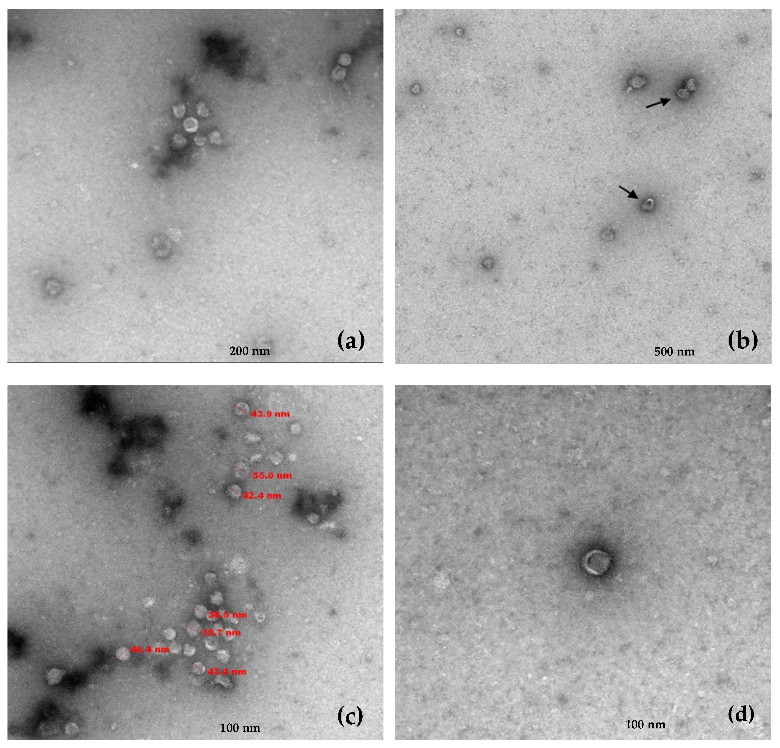 Plants 12 03300 g003