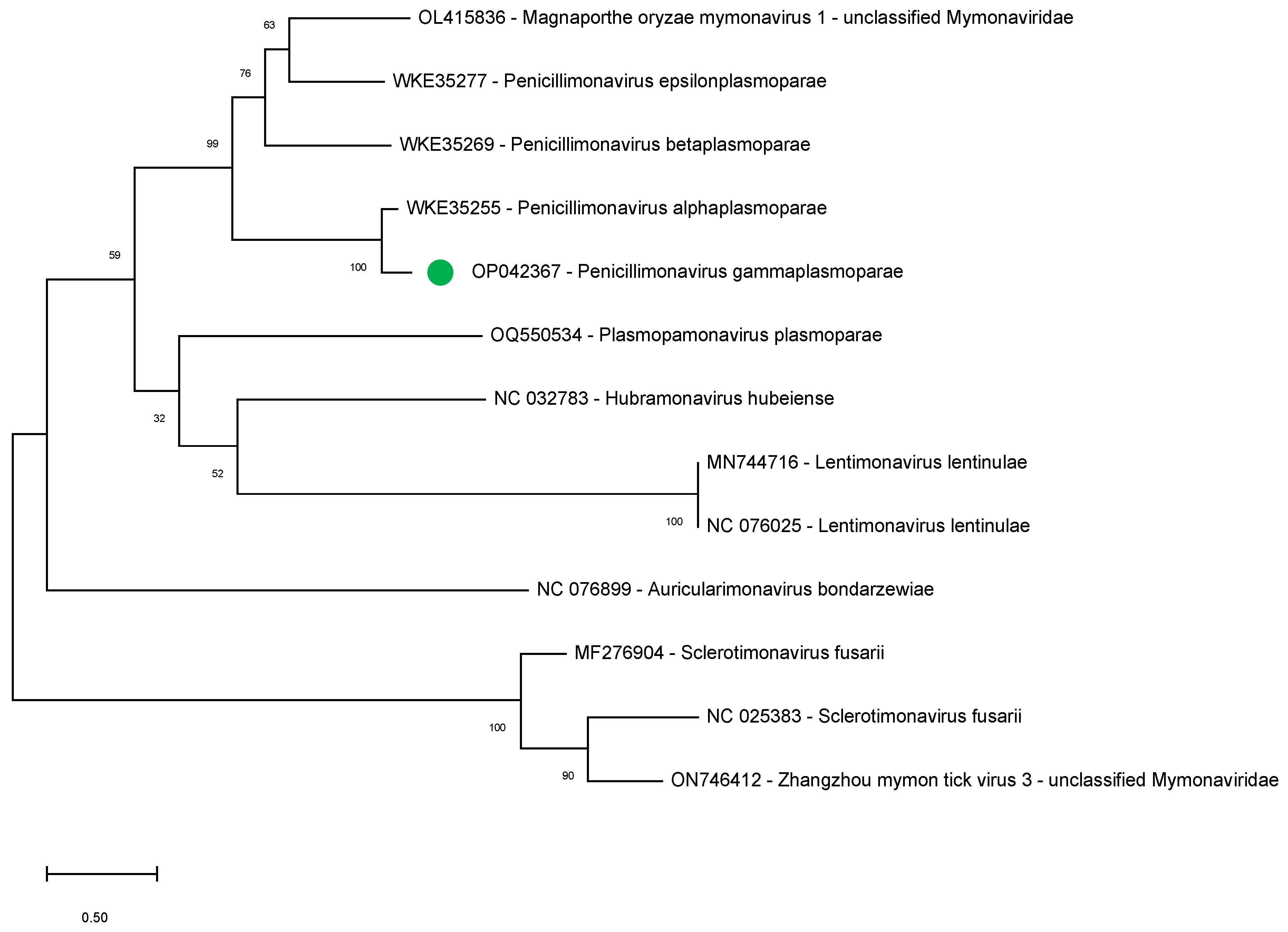 Plants 12 03300 g004