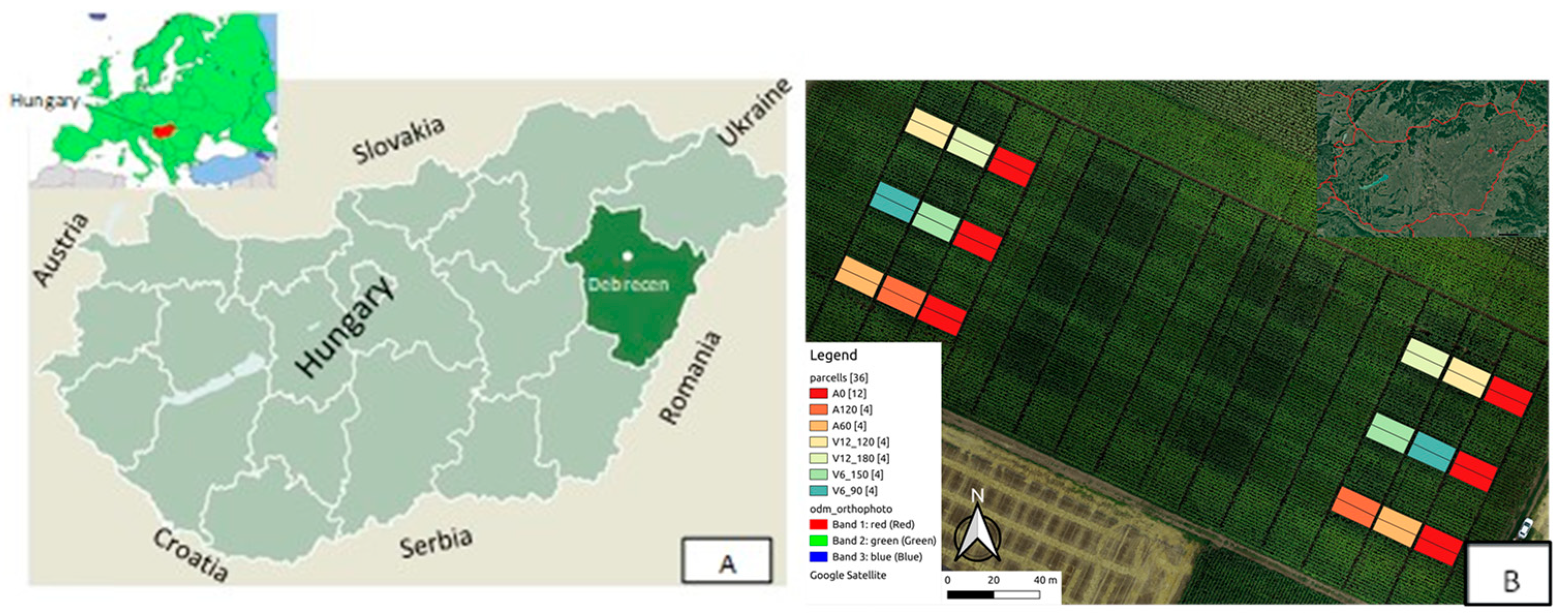 Plants 12 03301 g001