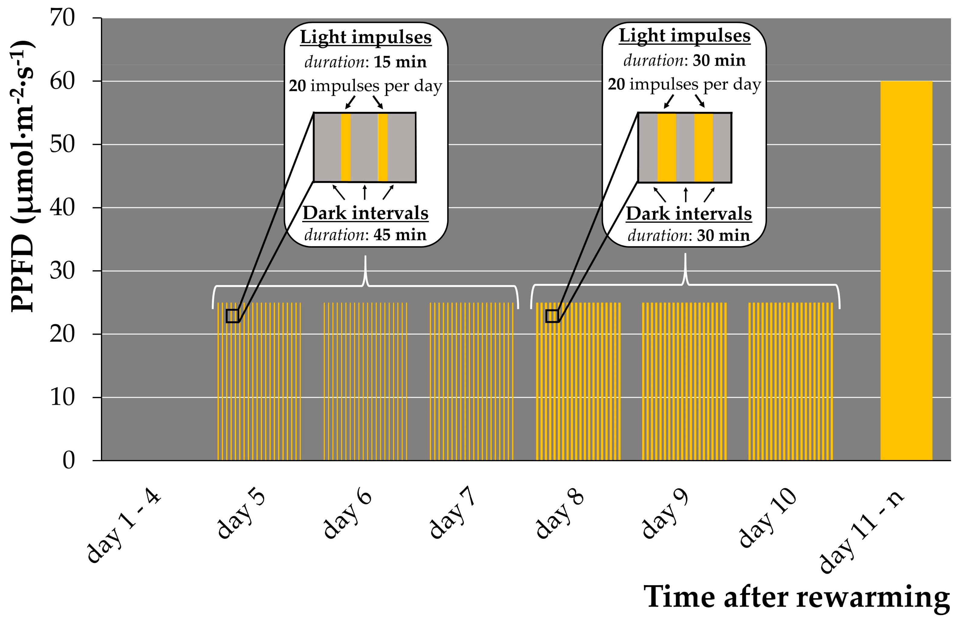 Plants 12 03302 g001 Plants 12 03302 g001