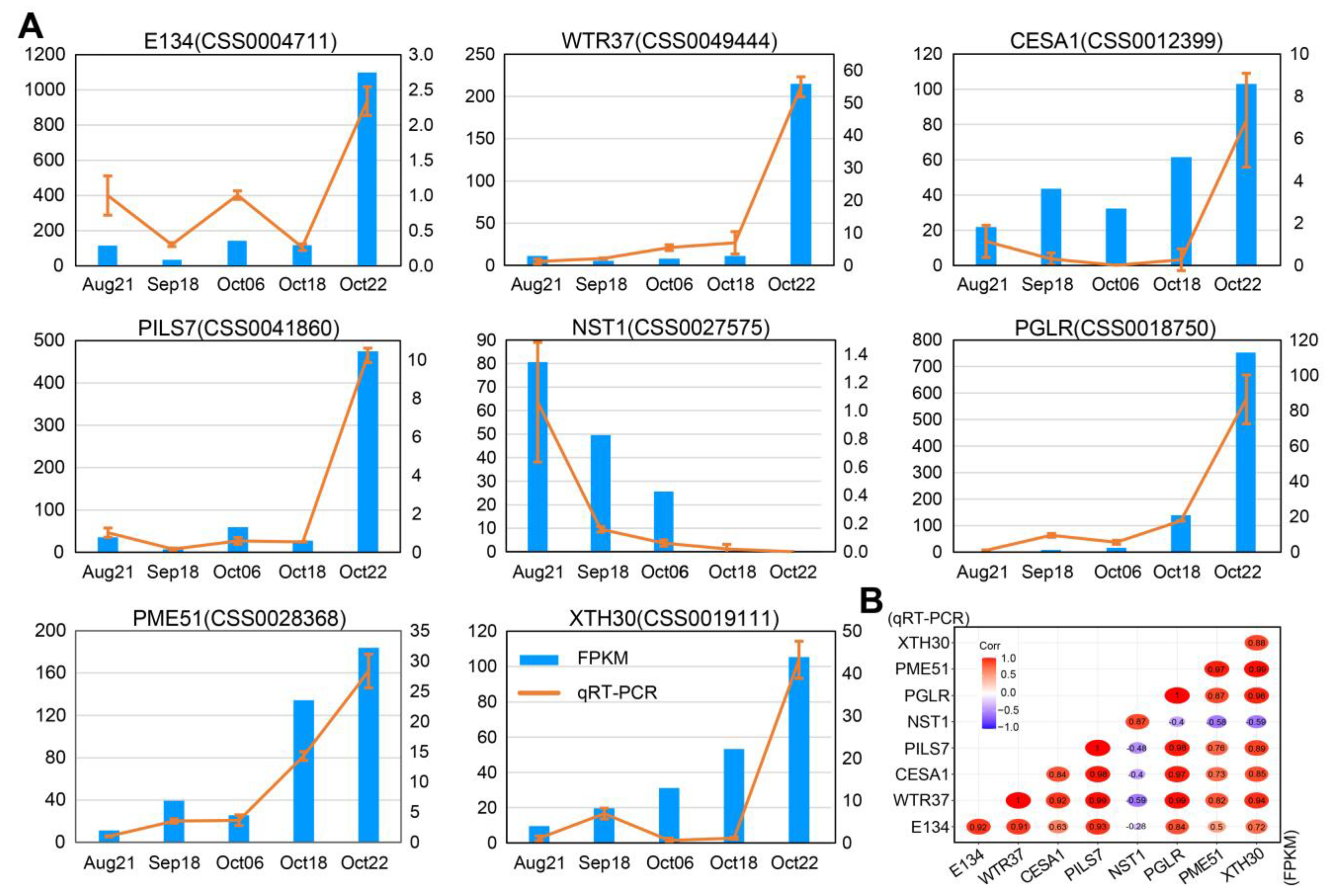 Plants 12 03314 g006