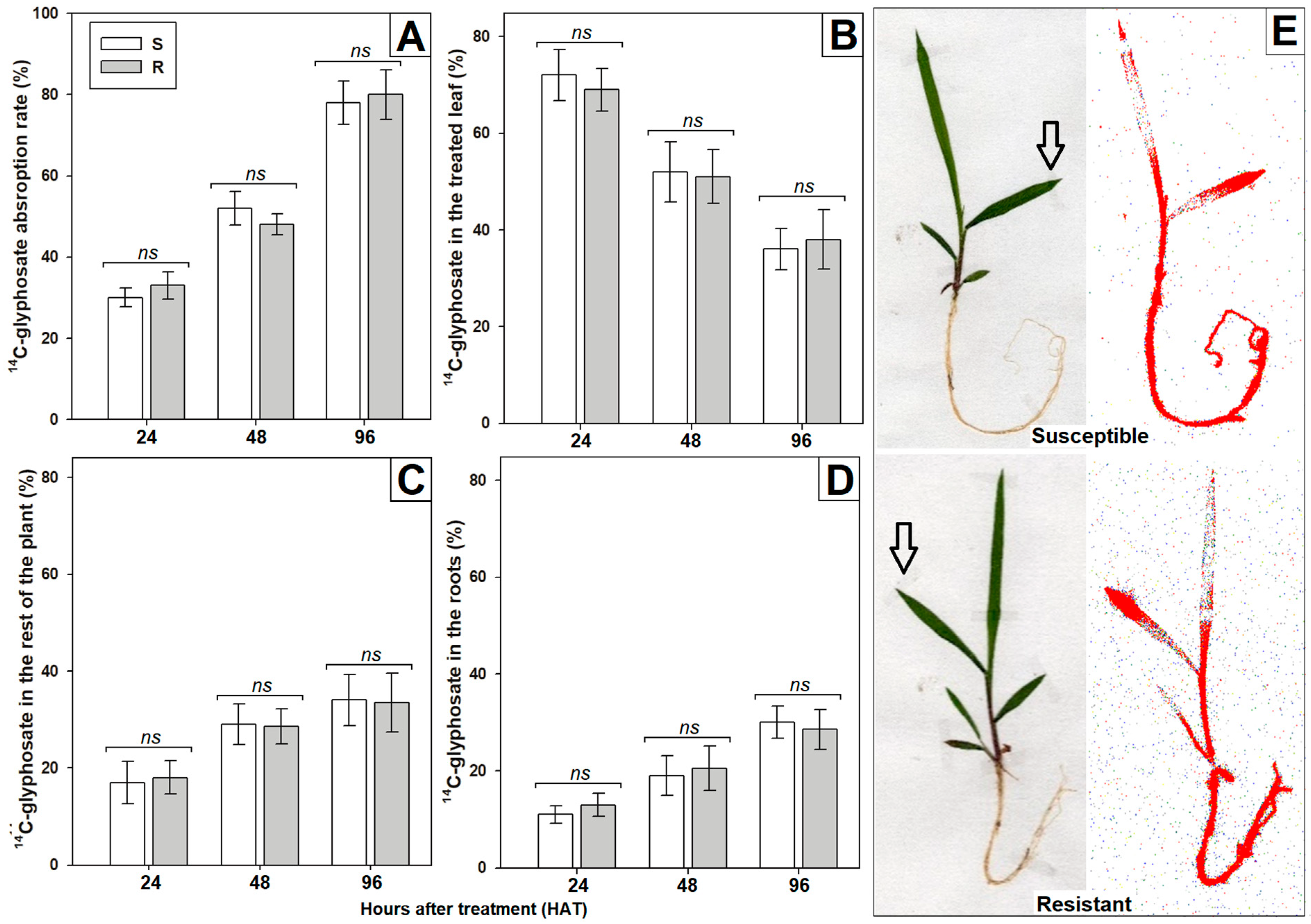 Plants 12 03315 g003