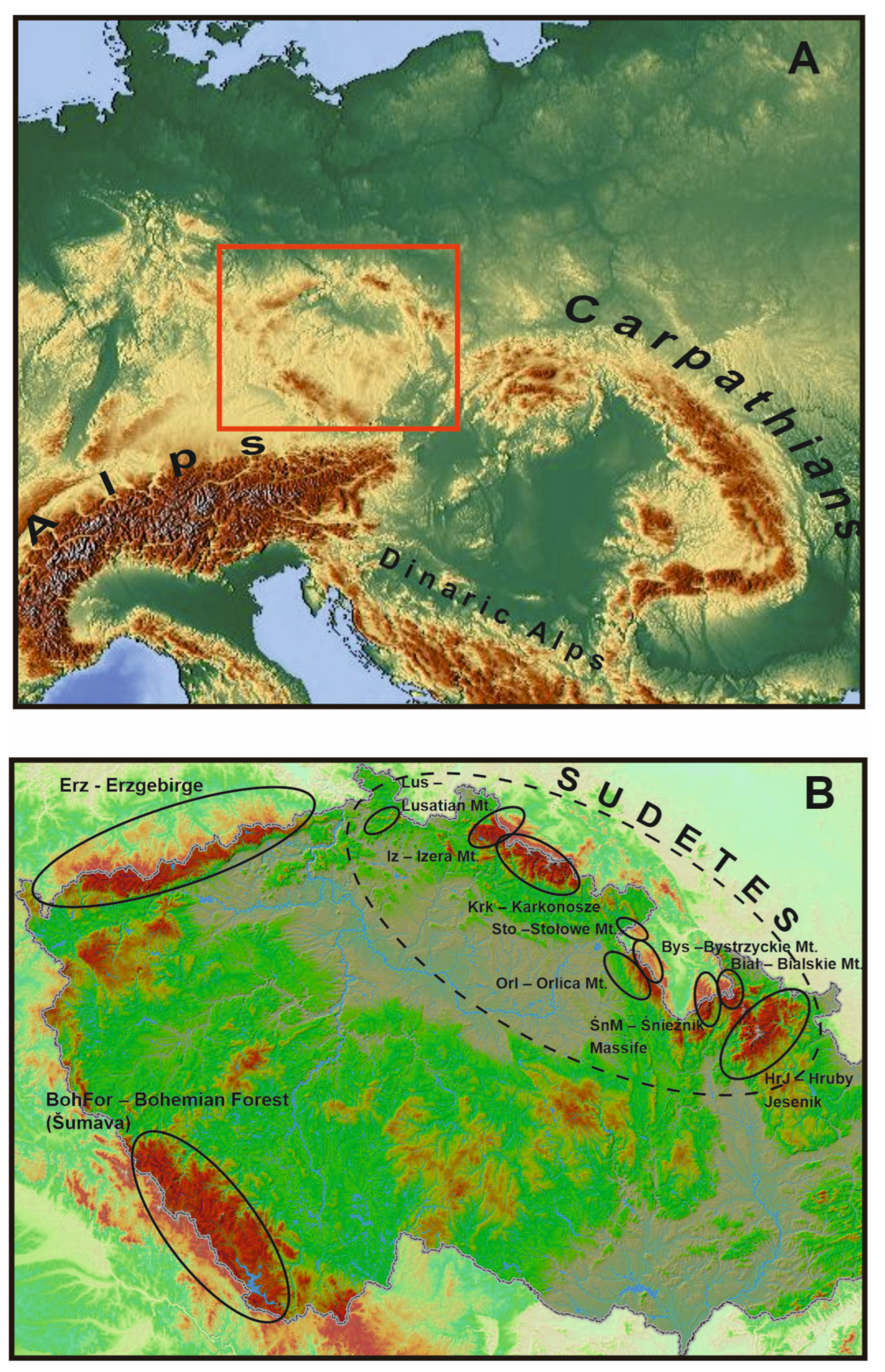 Plants 12 03317 g001