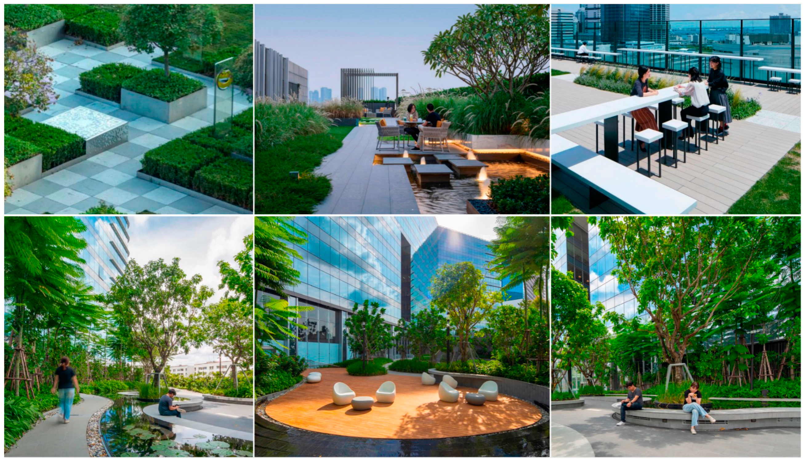 Plants 12 03320 g010