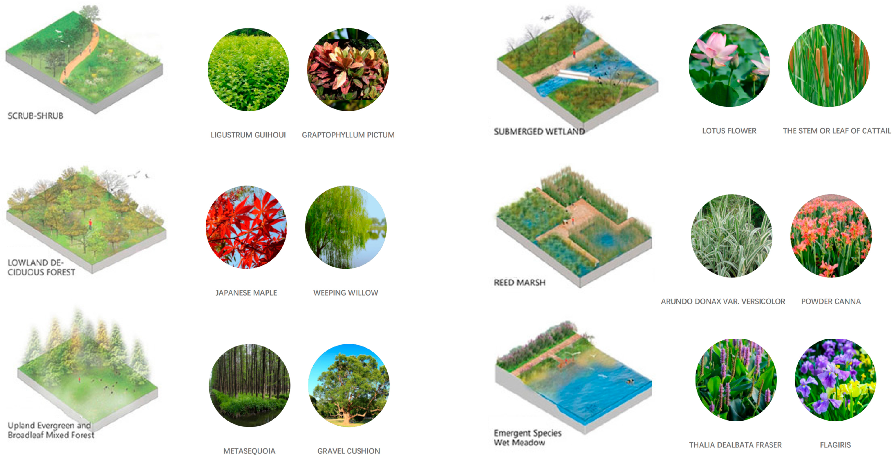 Plants 12 03320 g012