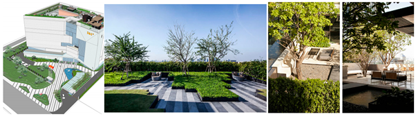 Plants 12 03320 i015