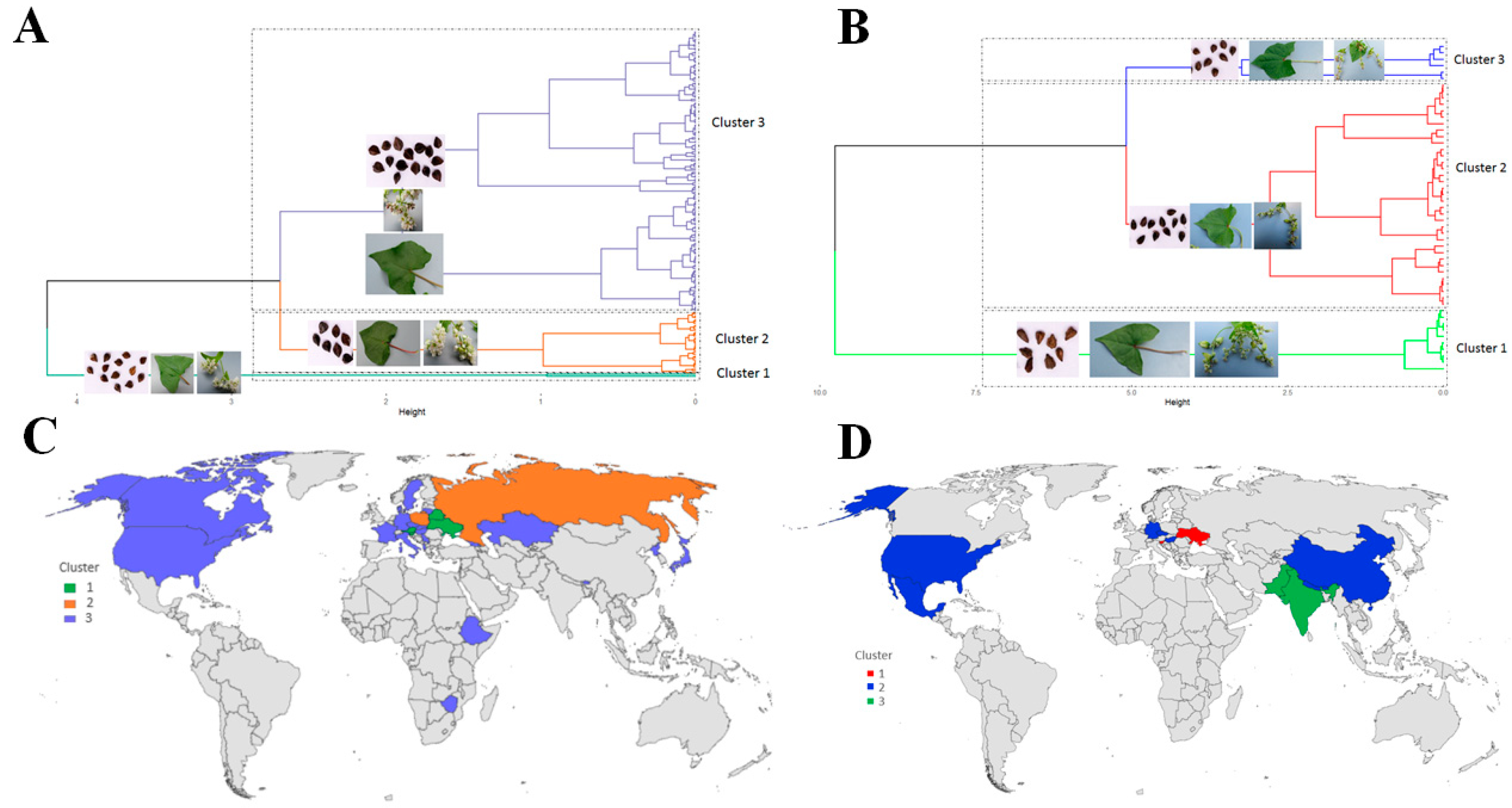 Plants 12 03321 g002 Plants 12 03321 g002
